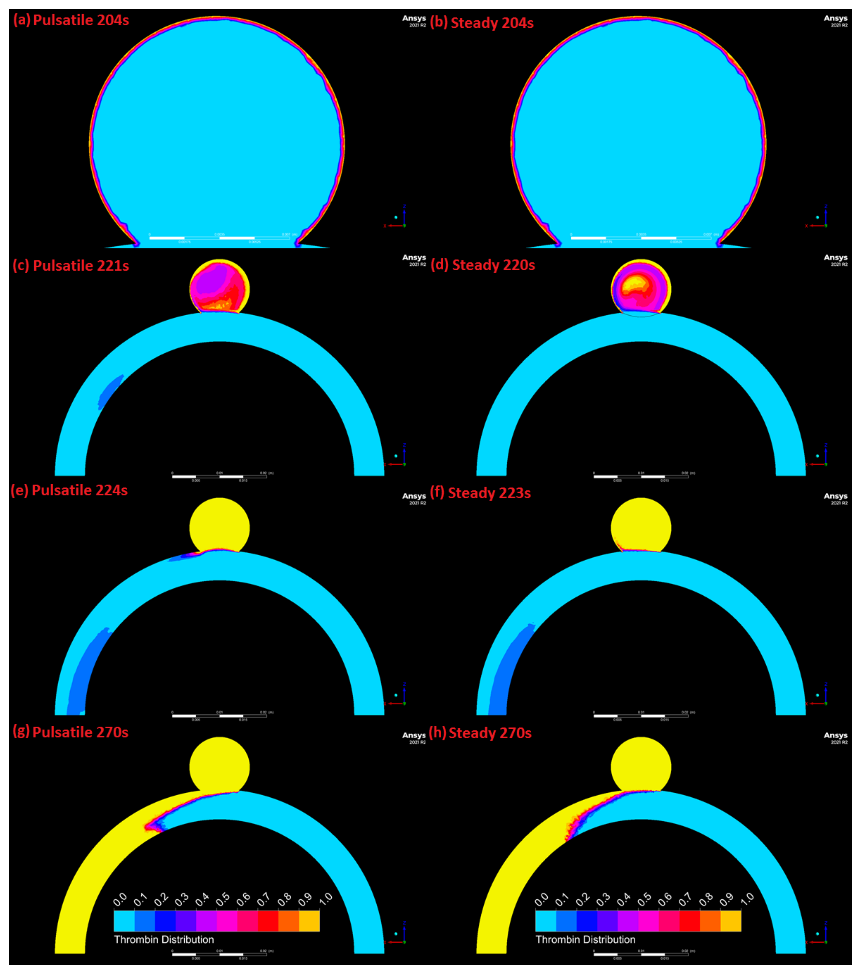 Symmetry 14 00133 g012