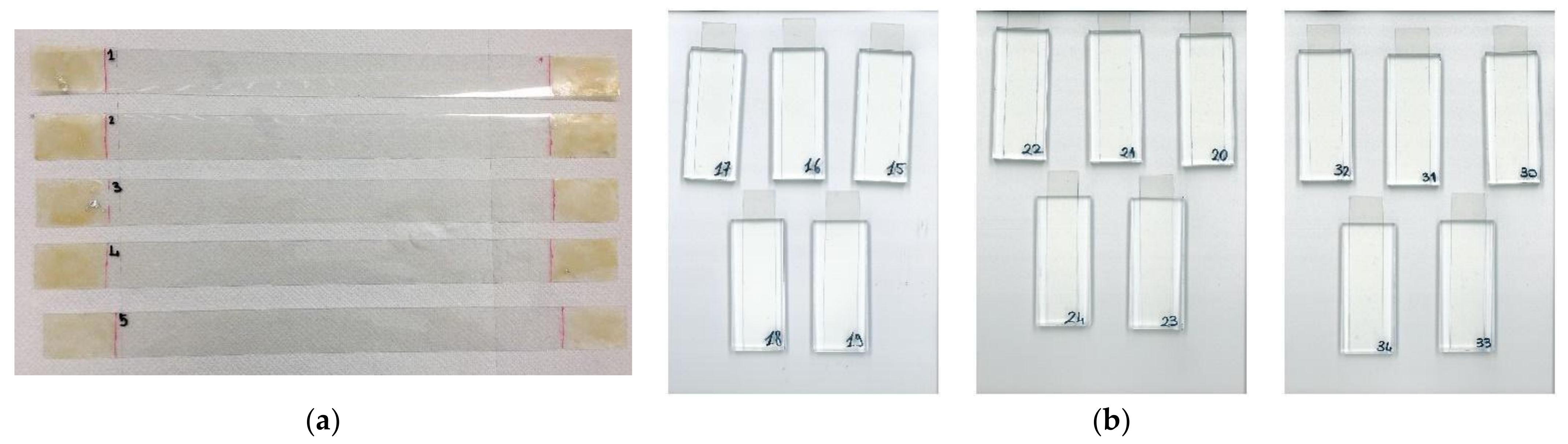 Symmetry 14 00162 g003