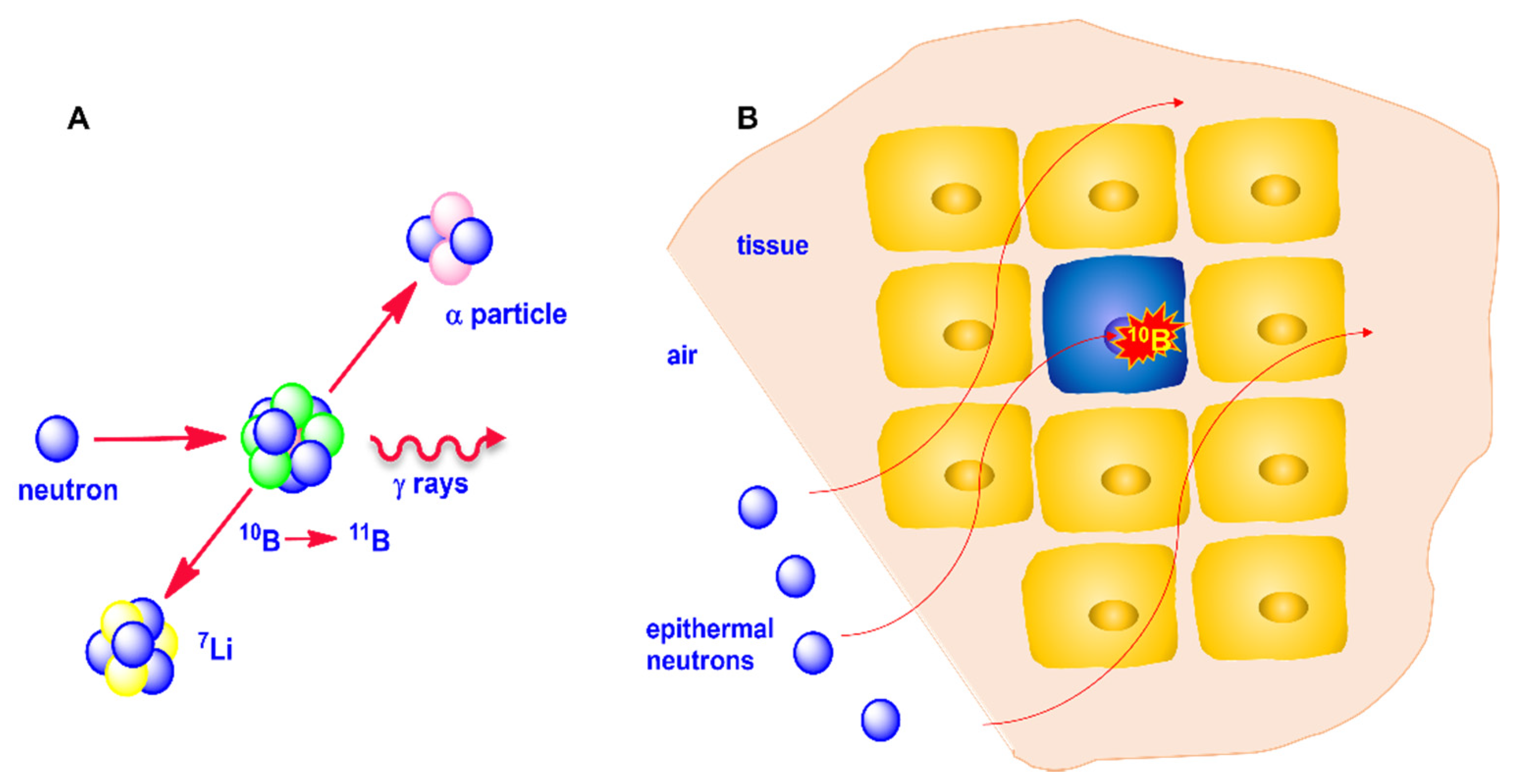 Anyone remember Boron? - General Discussion Forum - General Discussion  Forum