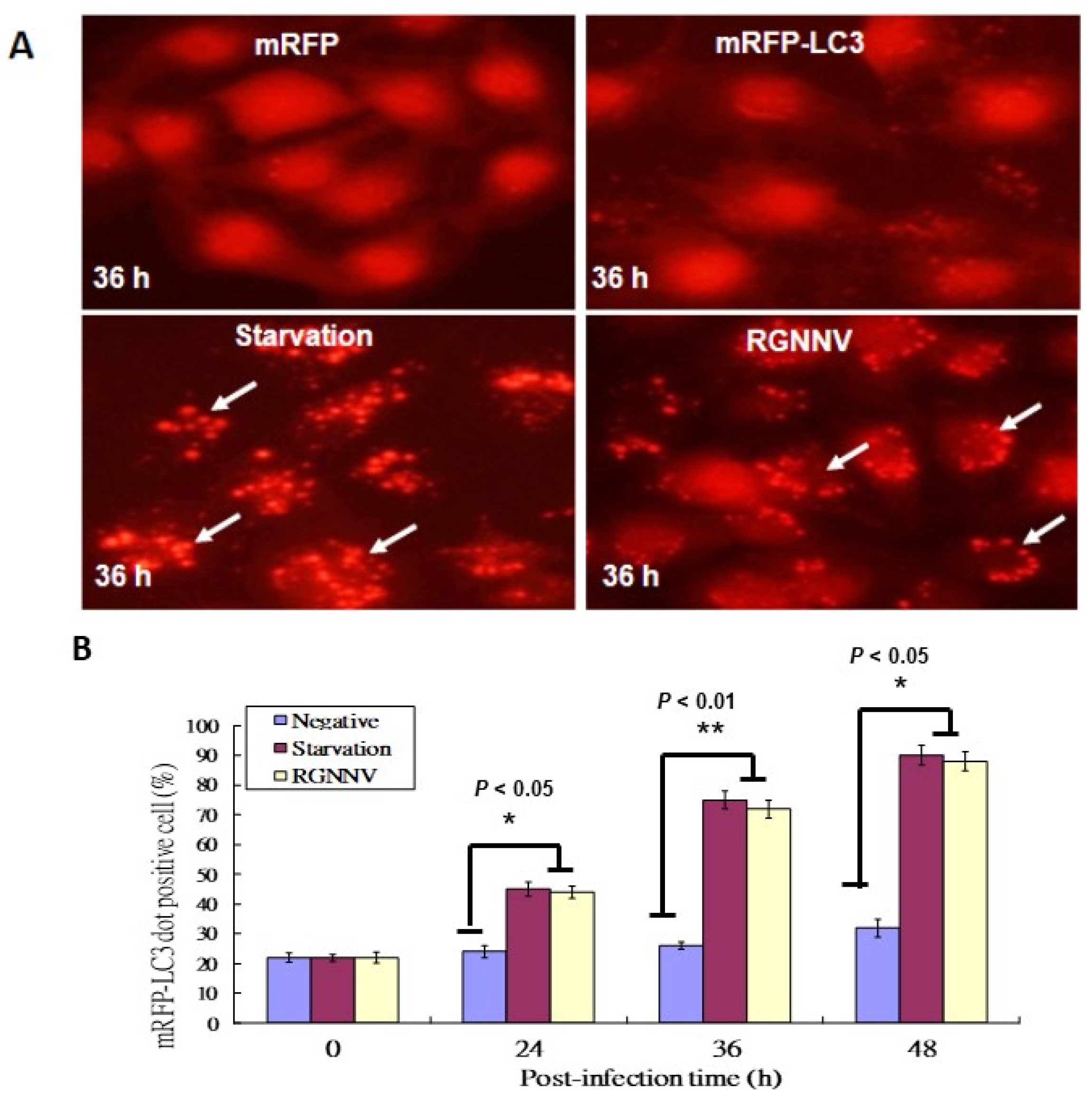 Symmetry 14 00360 g001