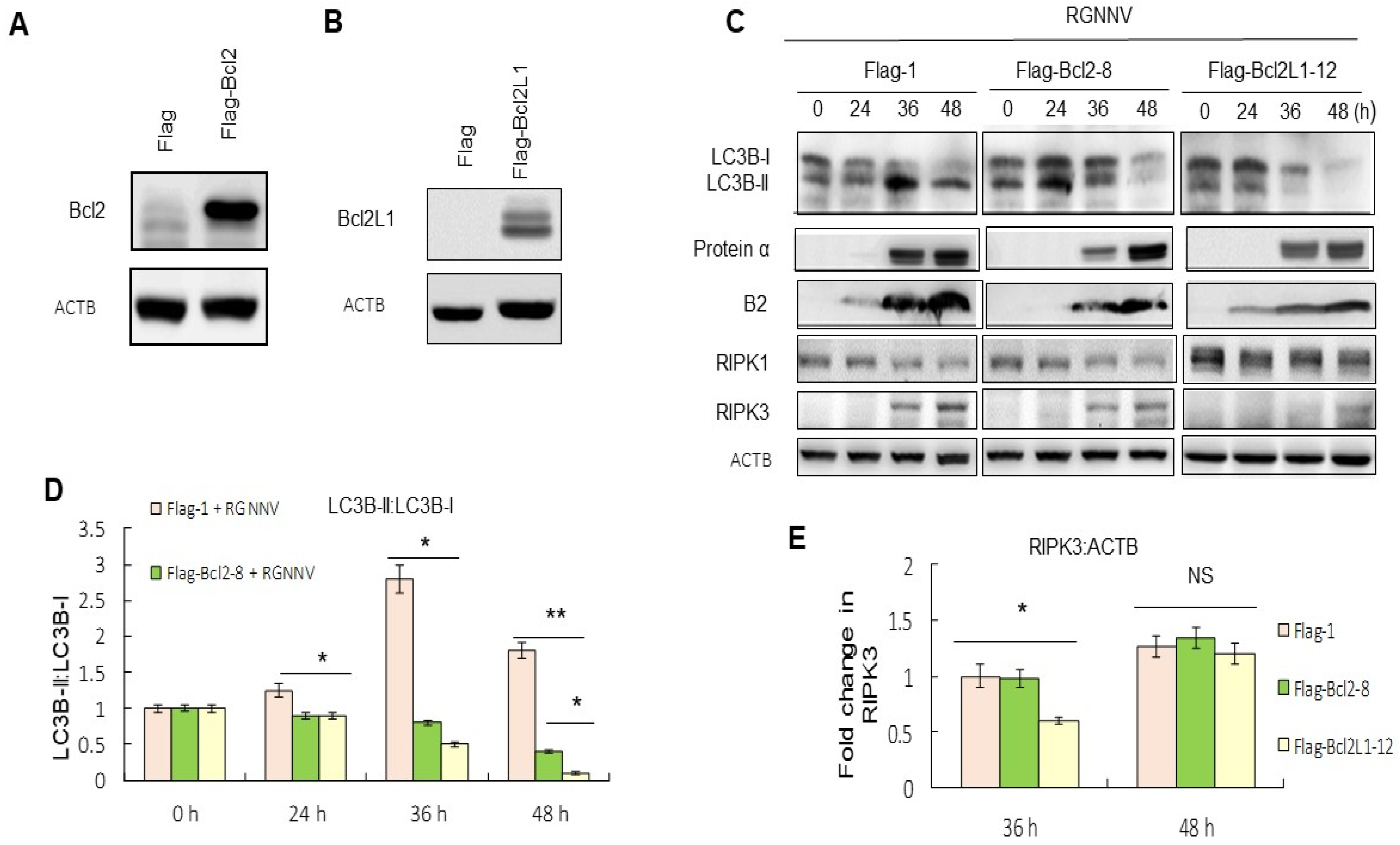 Symmetry 14 00360 g003