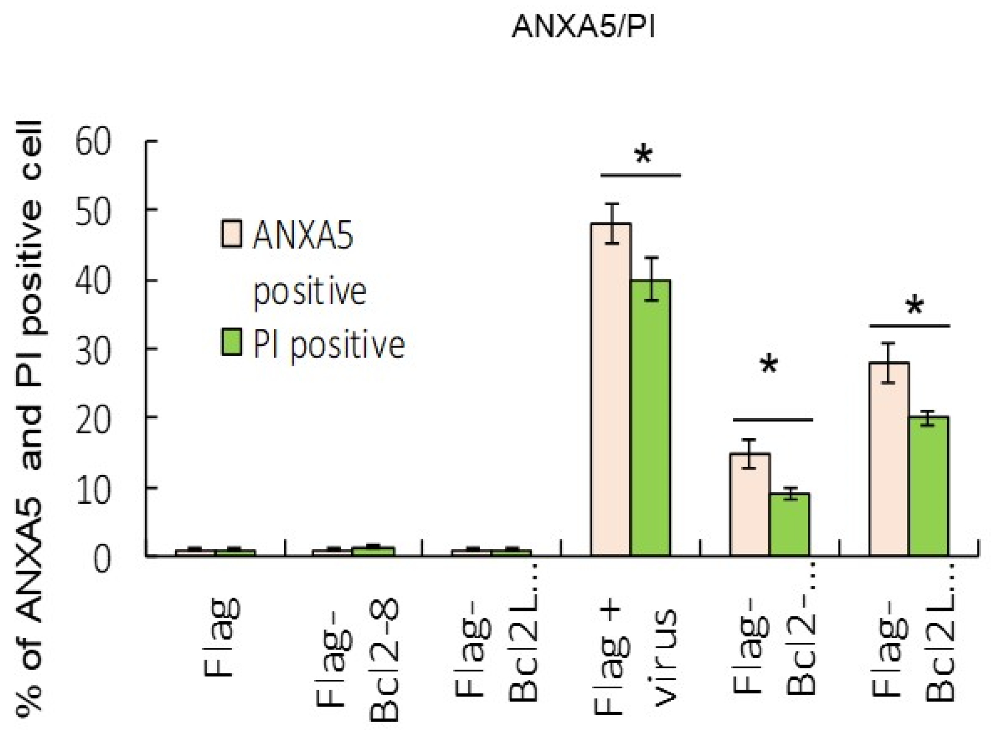 Symmetry 14 00360 g004