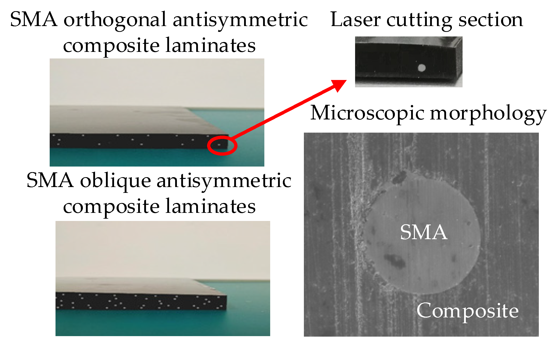 Symmetry 14 00361 g012
