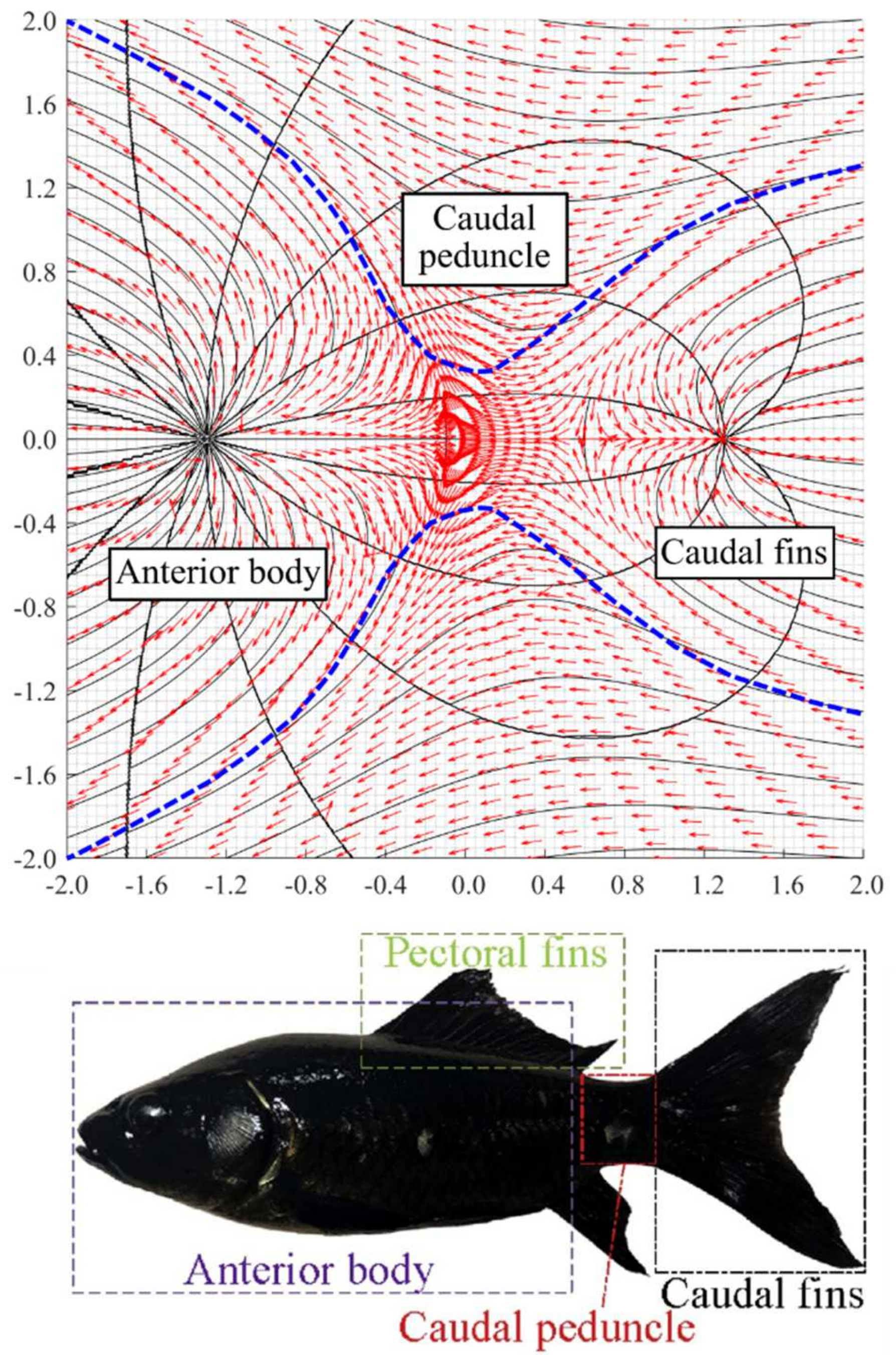 Symmetry 14 00391 g013 Symmetry 14 00391 g013