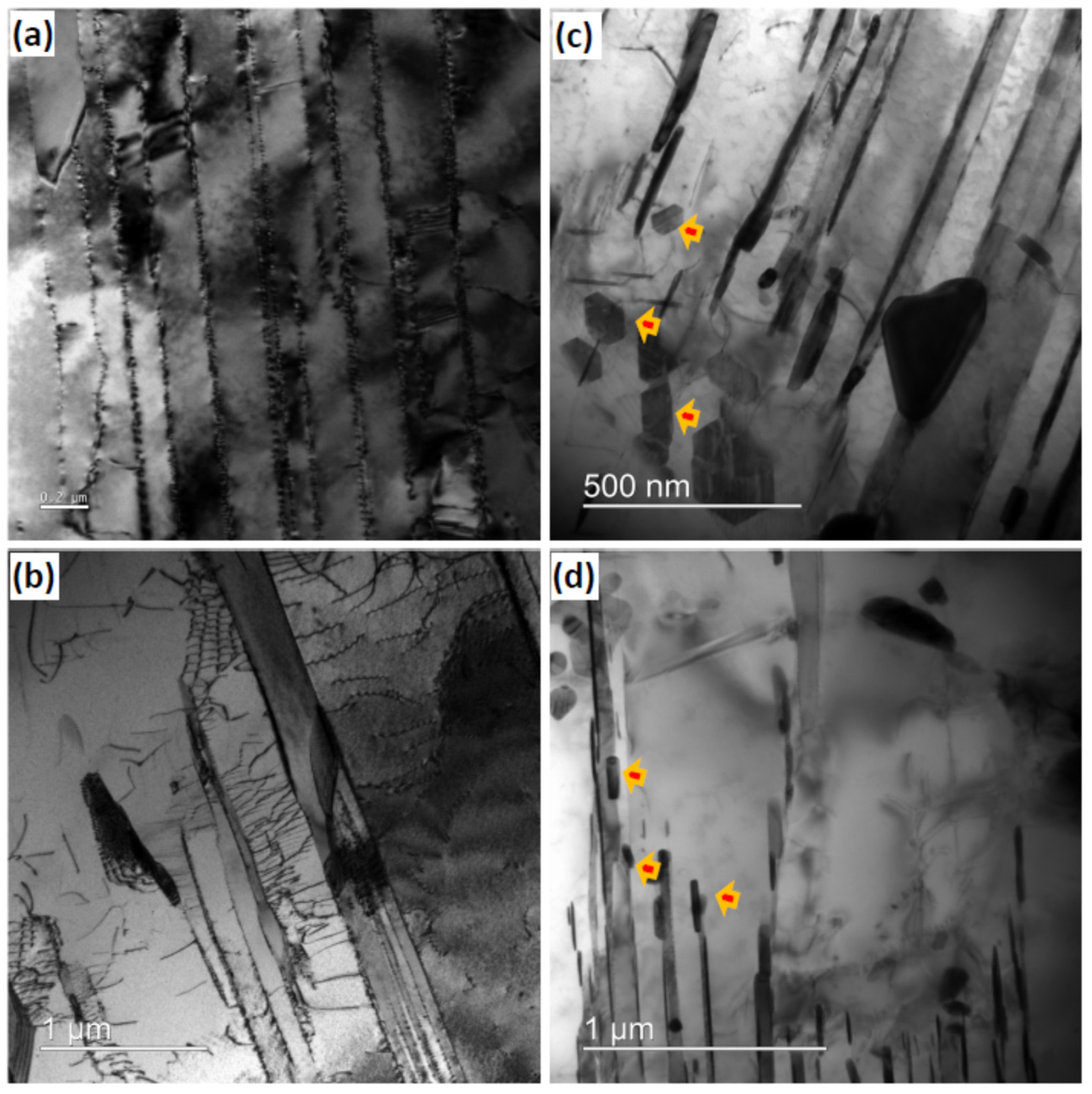 Symmetry 14 00399 g005