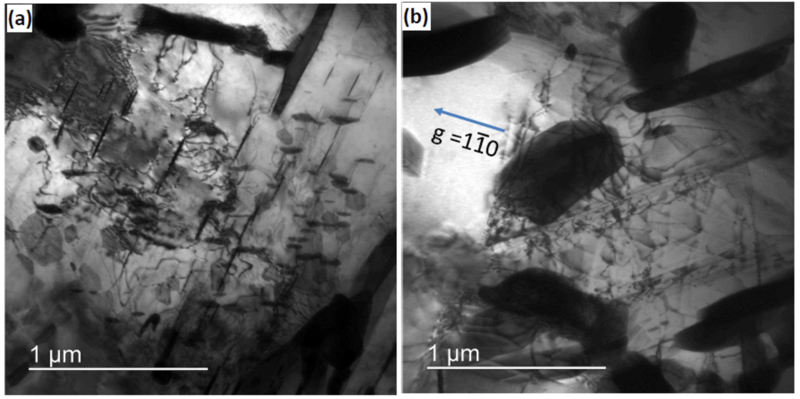 Symmetry 14 00399 g008