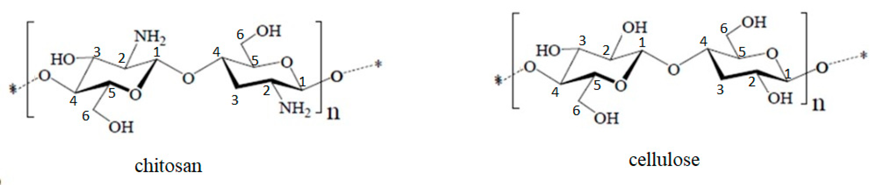 Symmetry 14 00572 g001