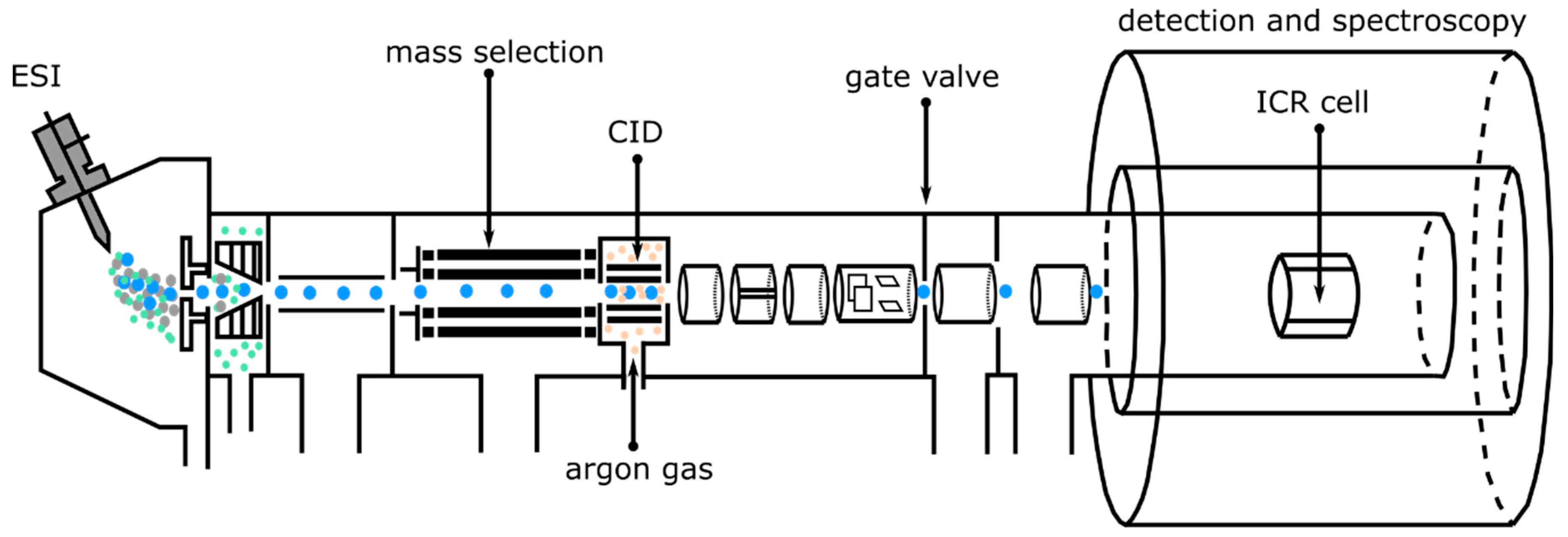 Symmetry 14 00679 g004