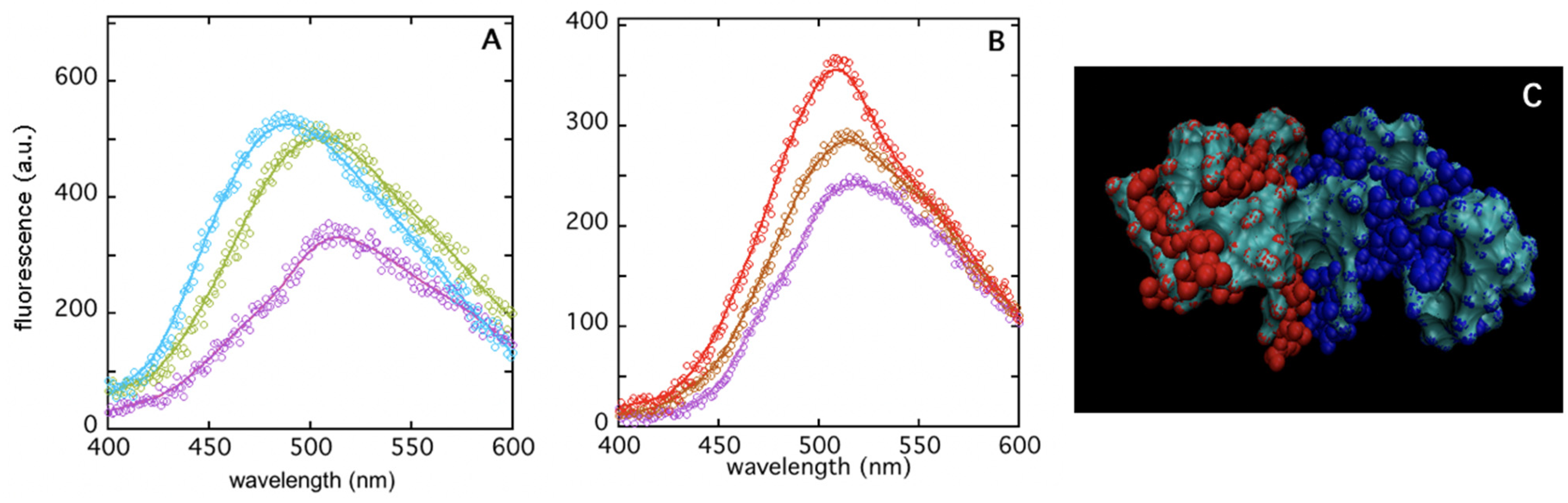Symmetry 14 00720 g001