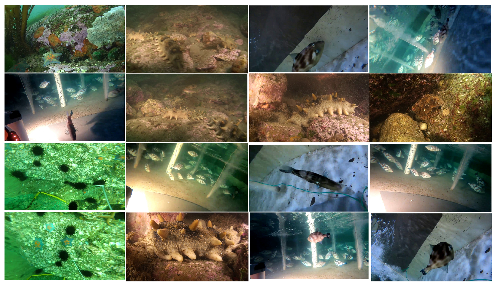 Symmetry 14 01082 g001