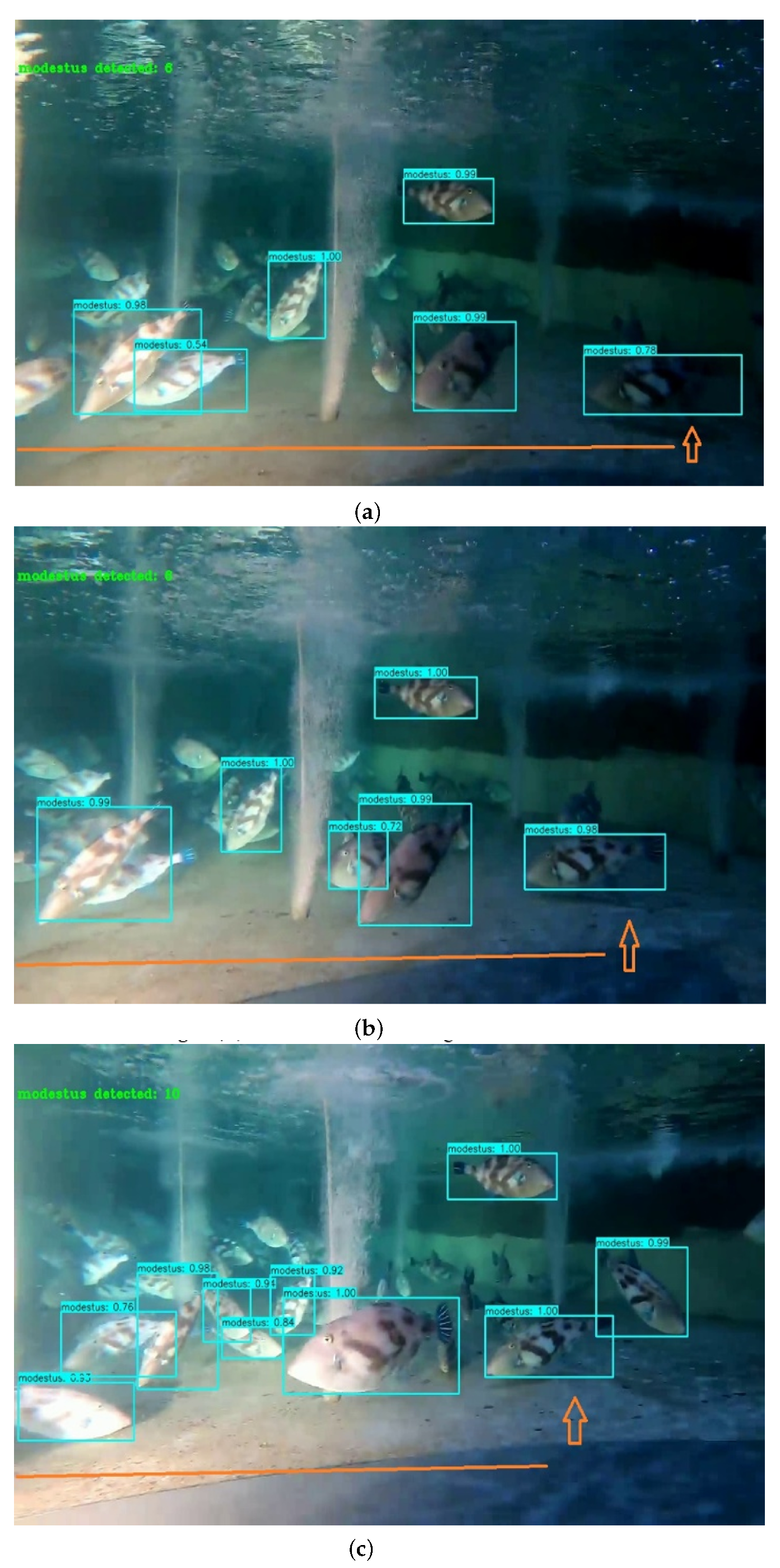 Symmetry 14 01082 g007