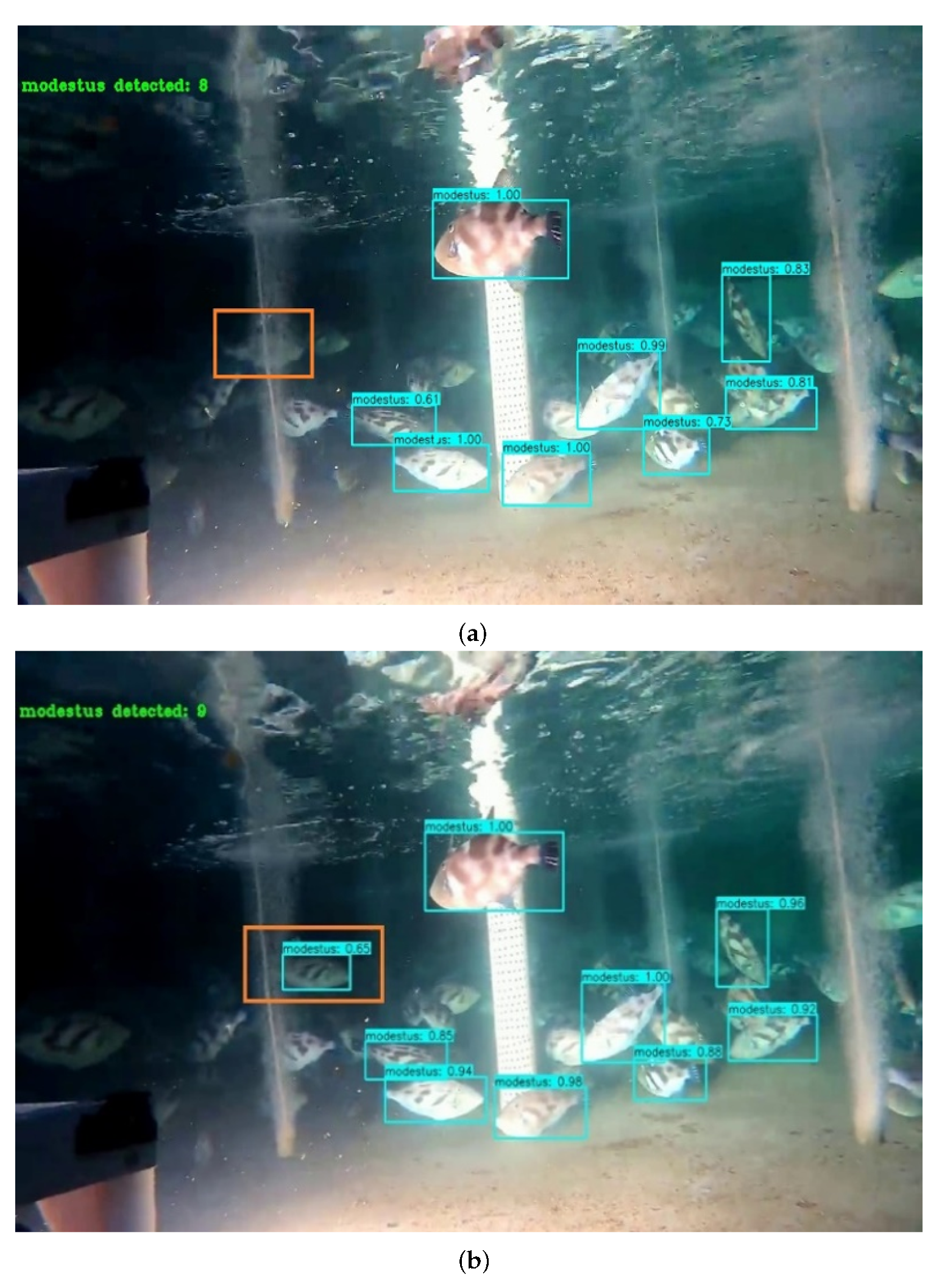 Symmetry 14 01082 g008a