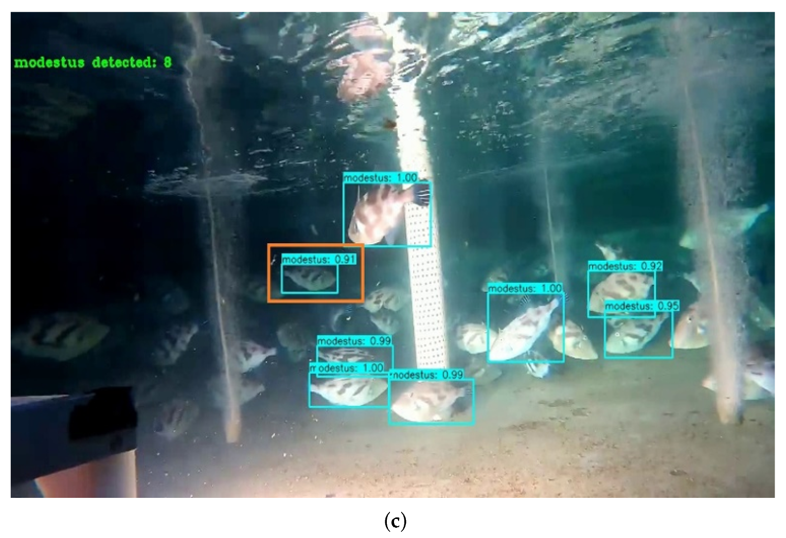 Symmetry 14 01082 g008b