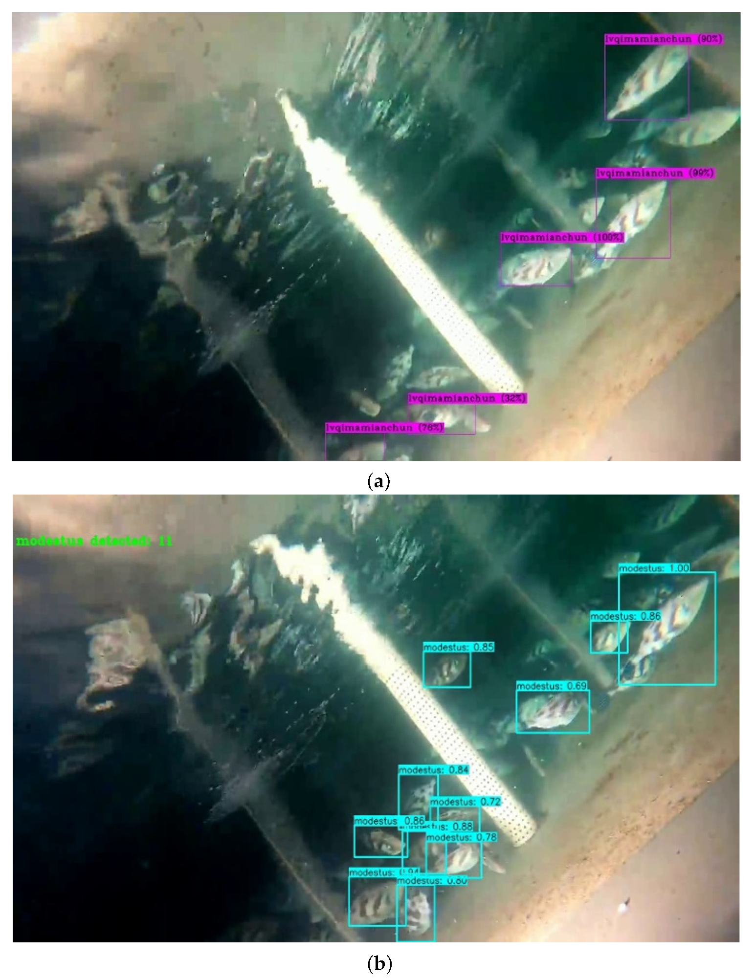 Symmetry 14 01082 g012