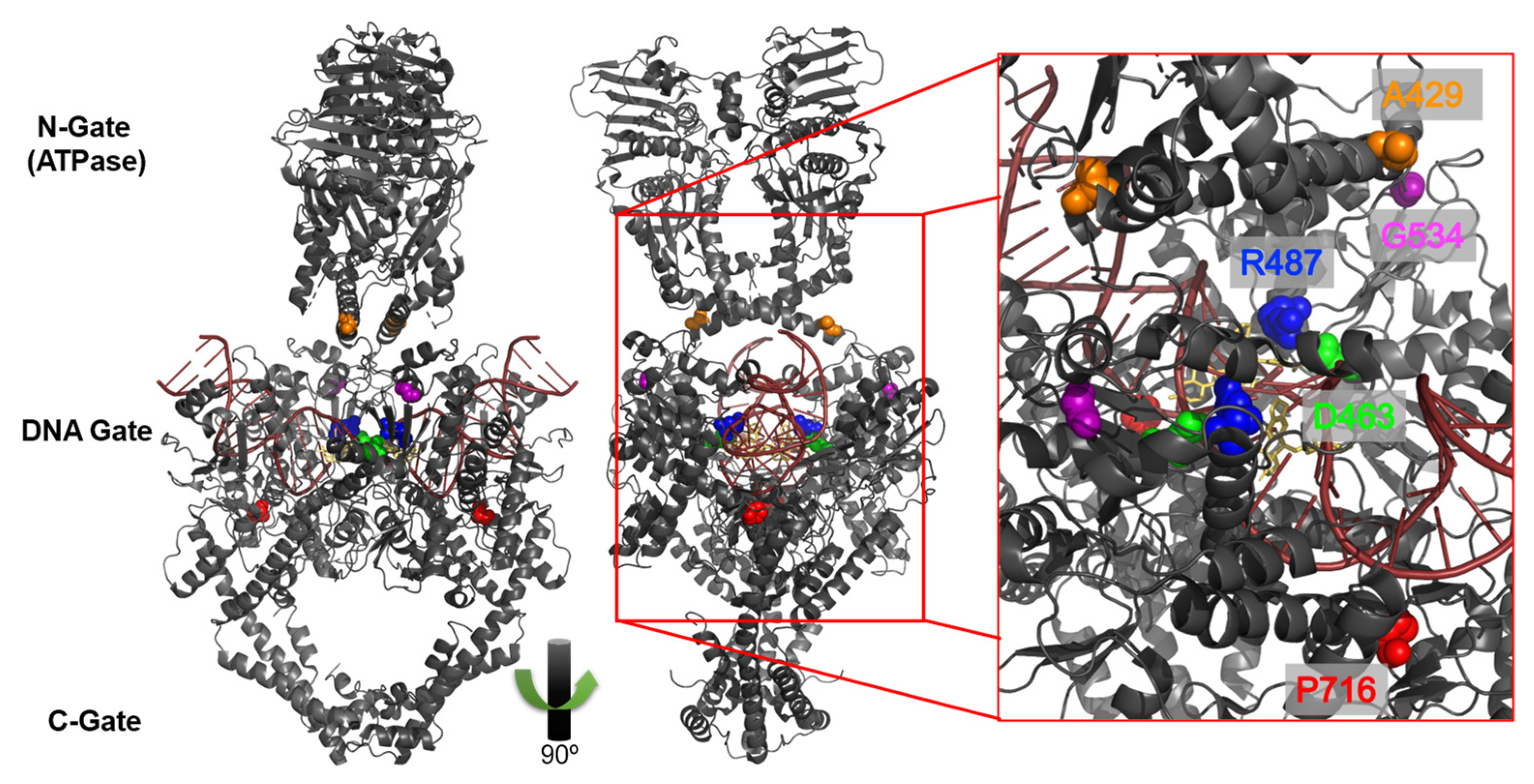 Symmetry 14 01309 g002