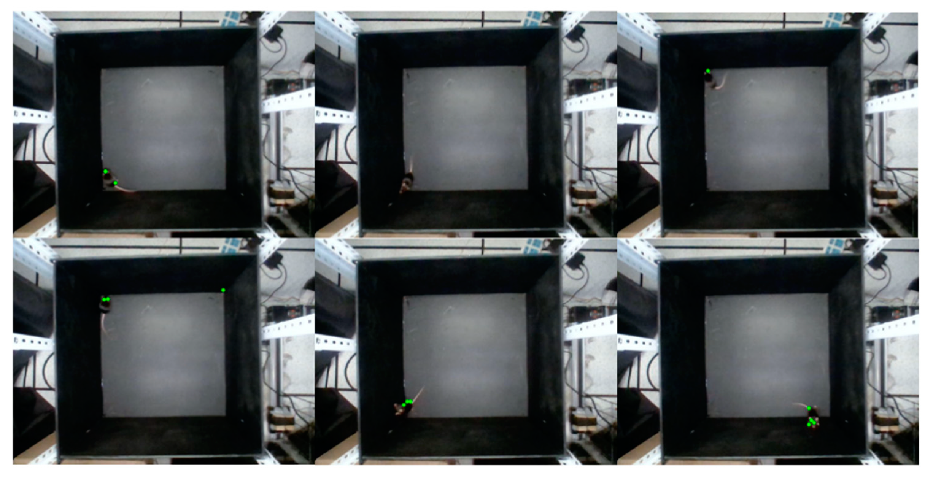 Symmetry 14 01437 g008