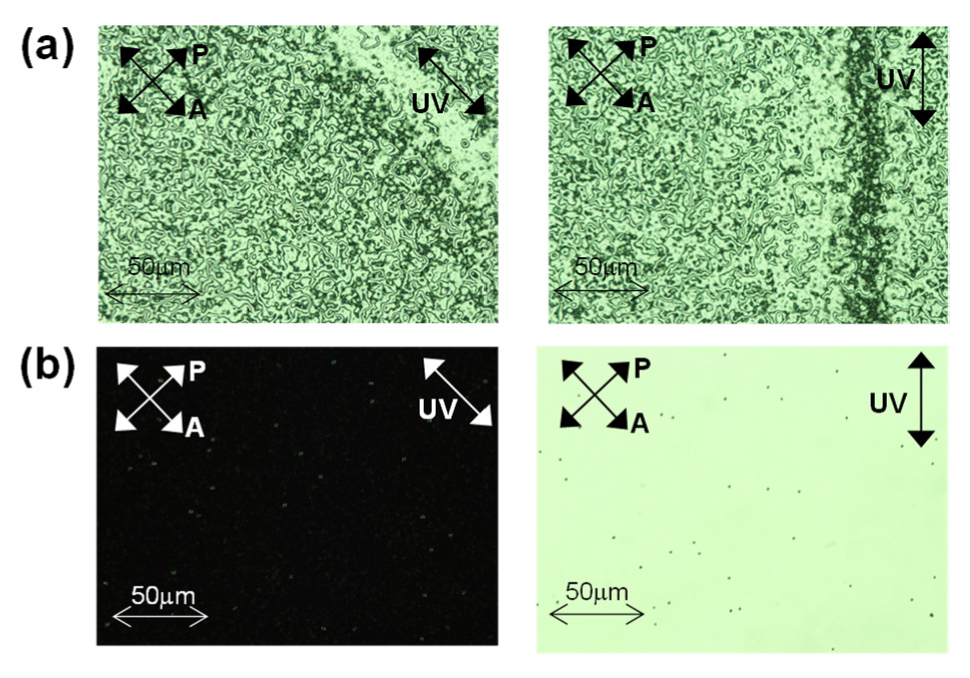 Symmetry 14 01620 g008
