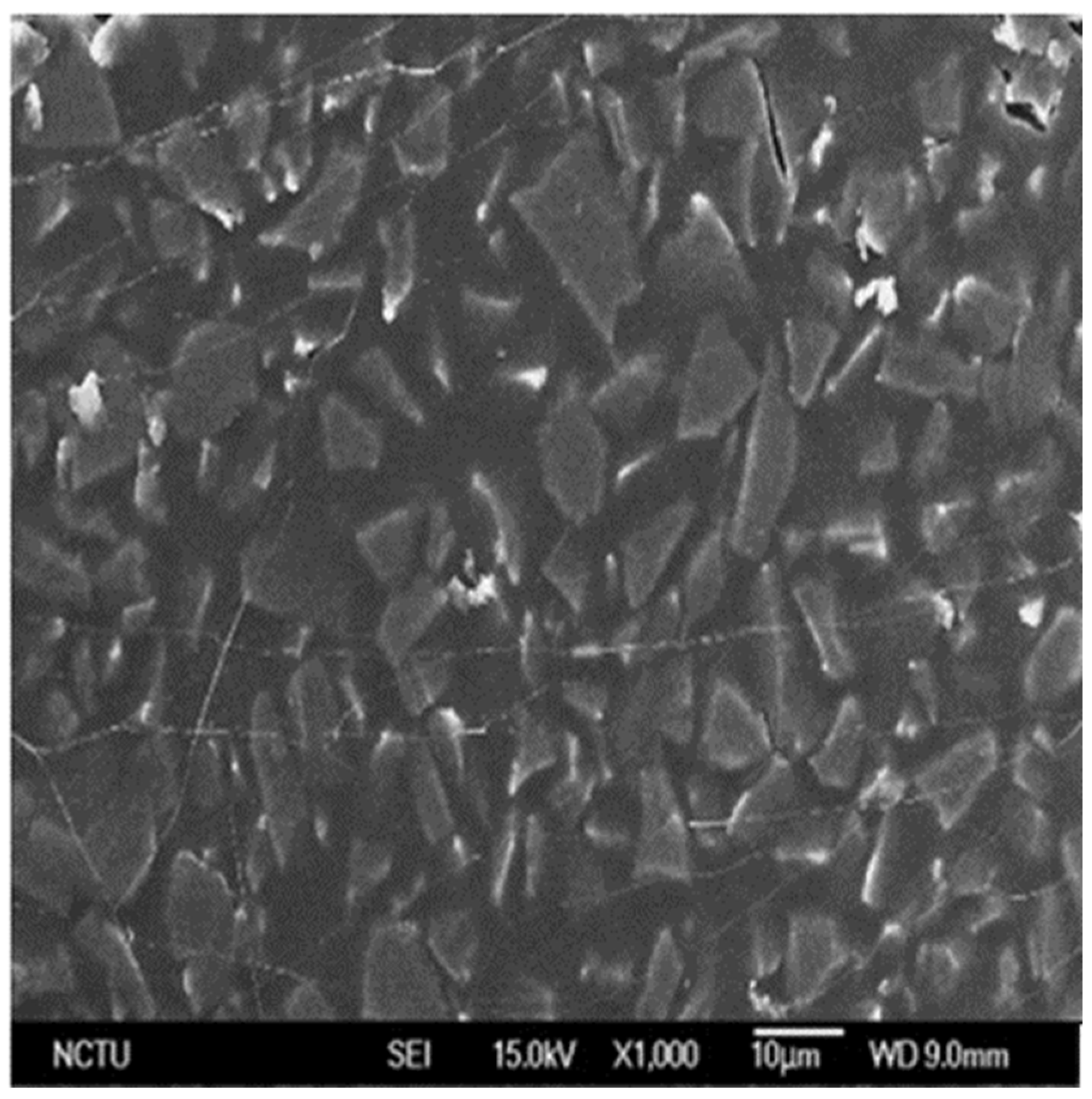 Symmetry 14 02144 g004