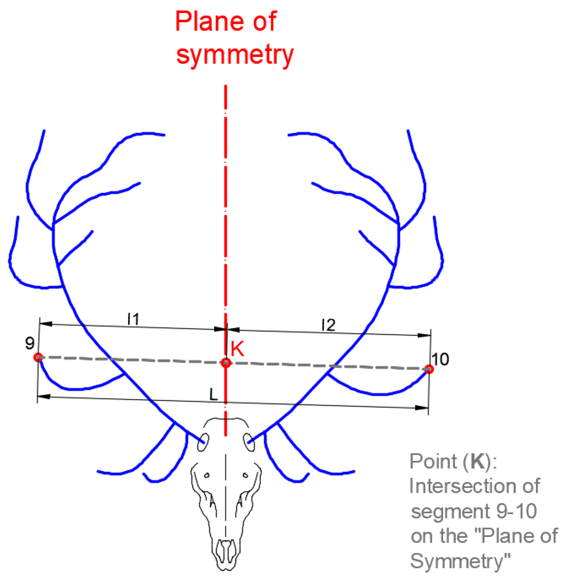 Symmetry | Free Full-Text | A New Method For Quantifying The Asymmetry ...