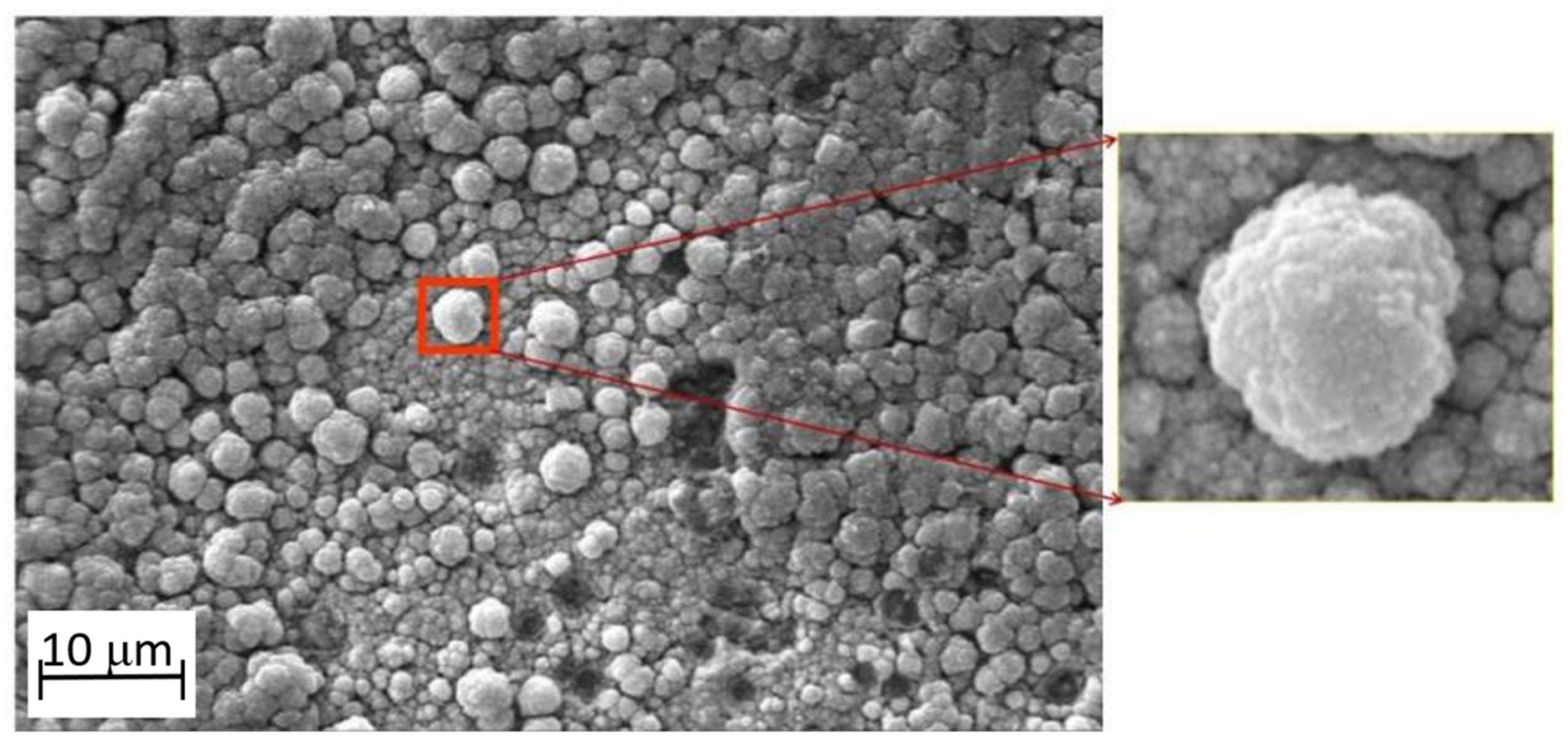 Symmetry 14 02346 g001