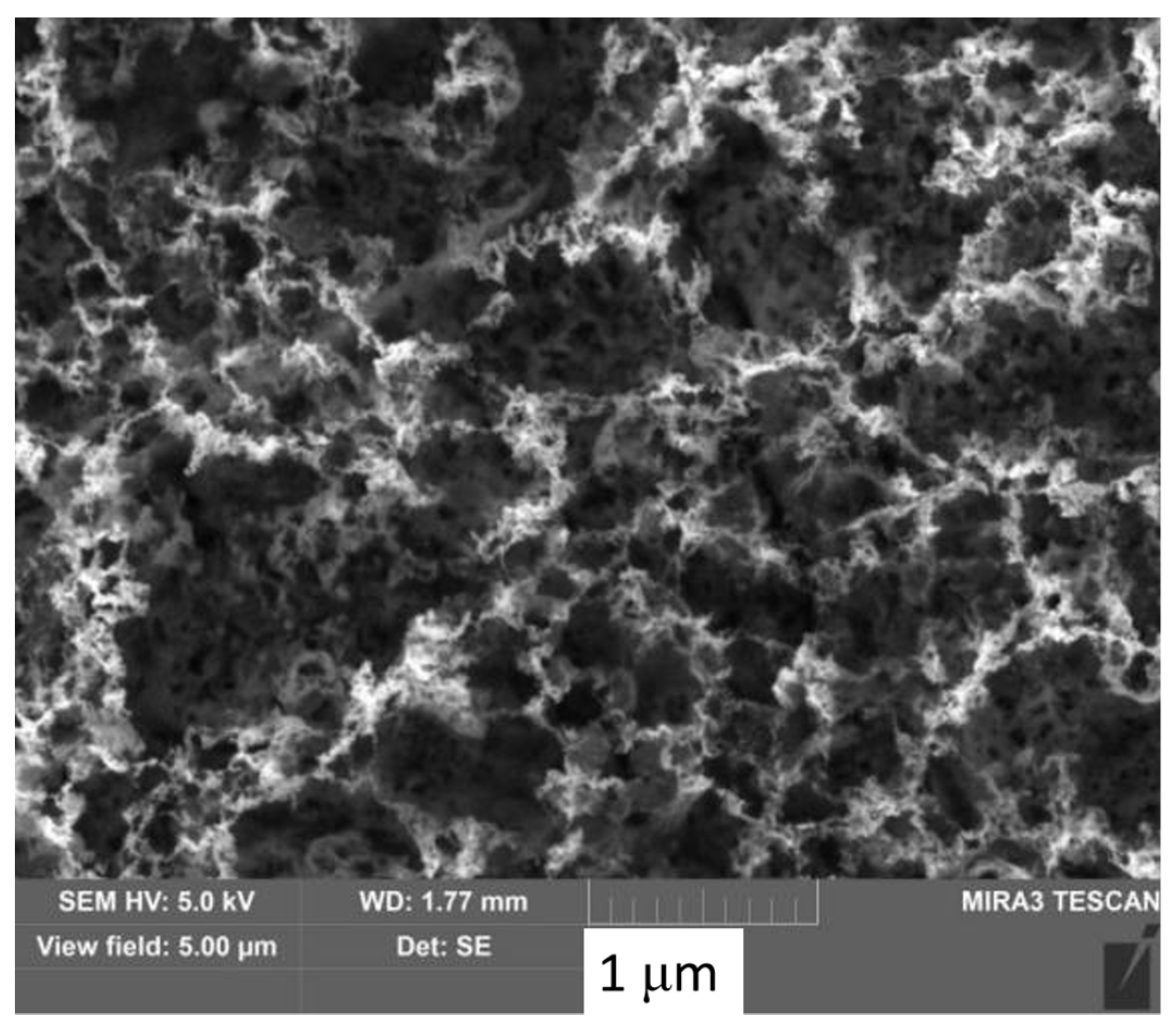 Symmetry 14 02346 g007