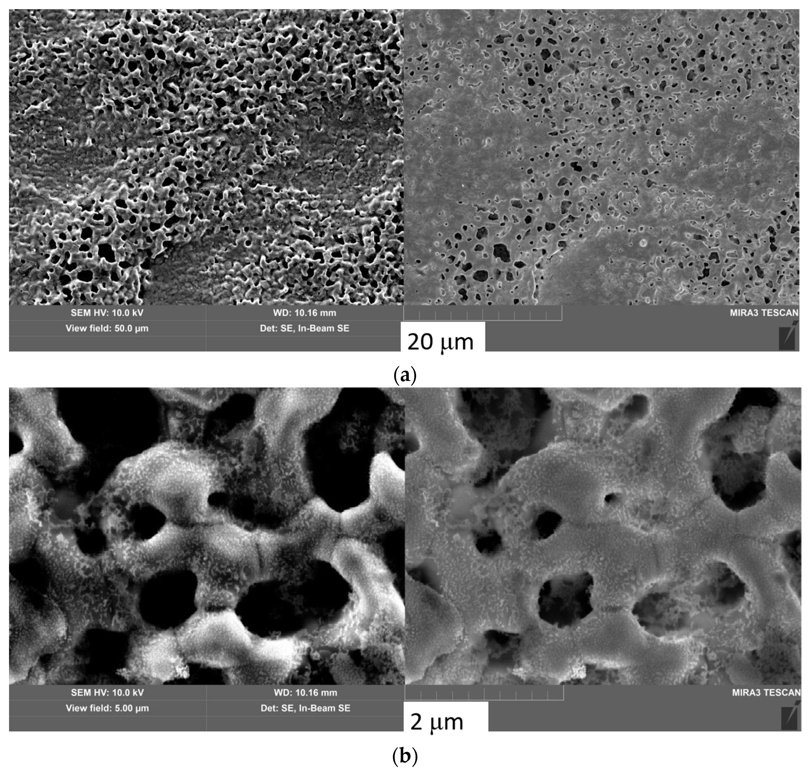 Symmetry 14 02346 g008
