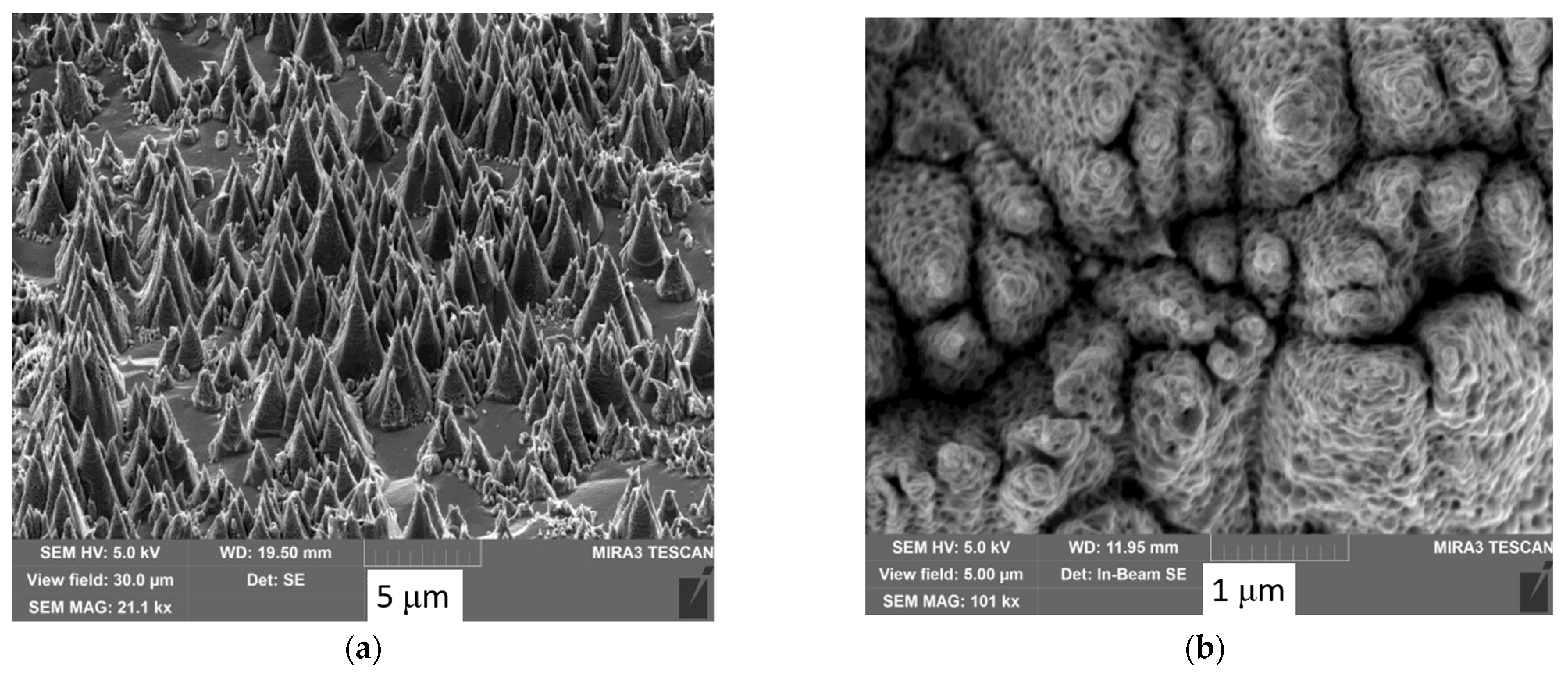 Symmetry 14 02346 g011