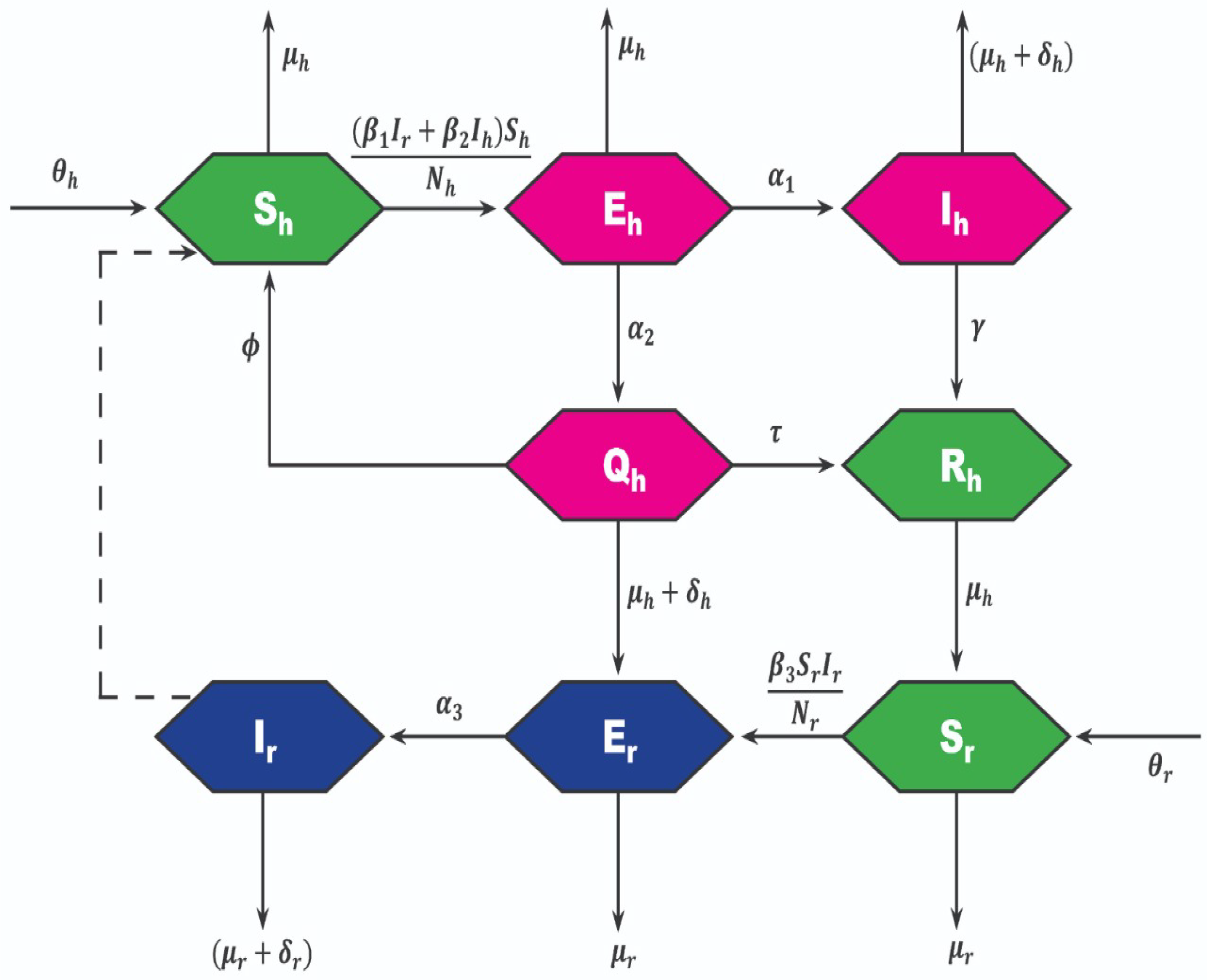 Symmetry 14 02545 g001