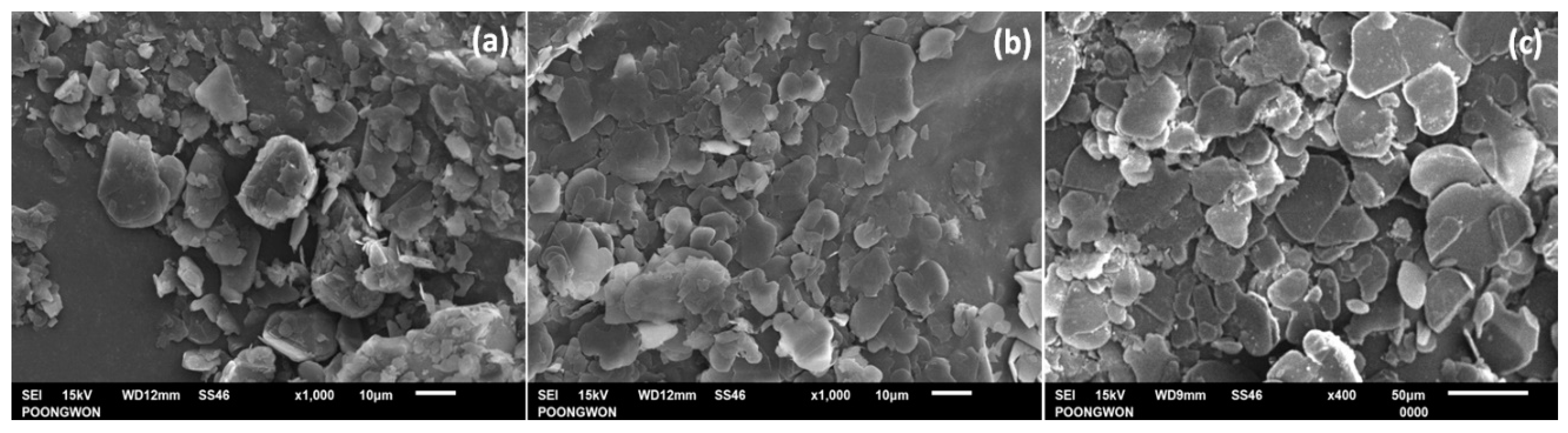 Symmetry 14 02597 g004