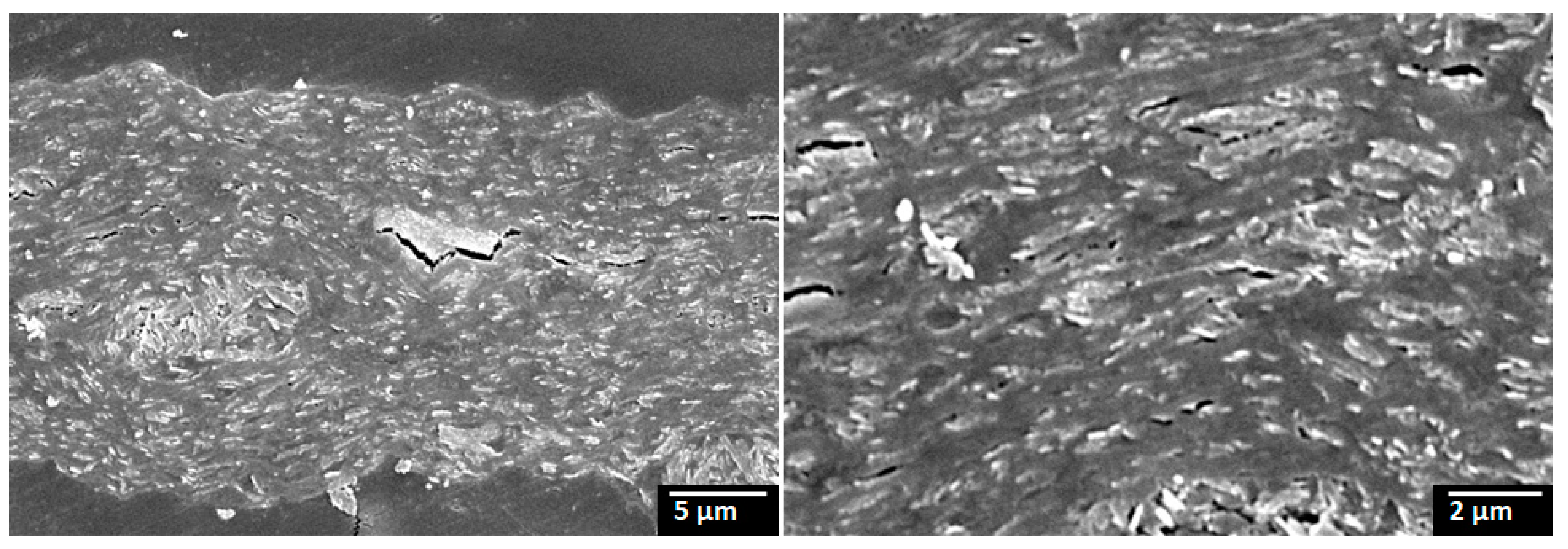 Symmetry 14 02597 g005