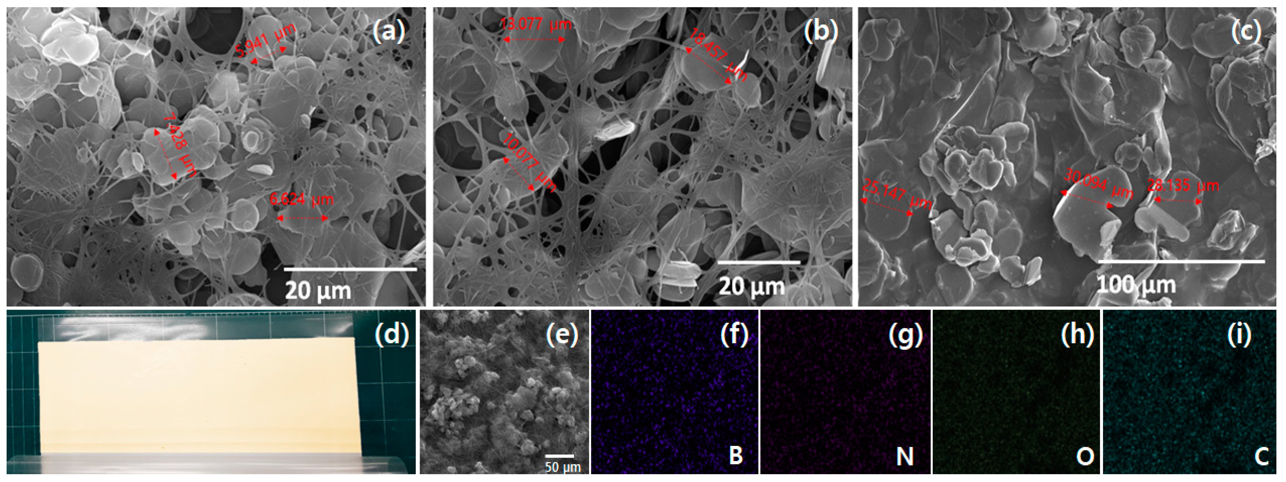 Symmetry 14 02597 g006