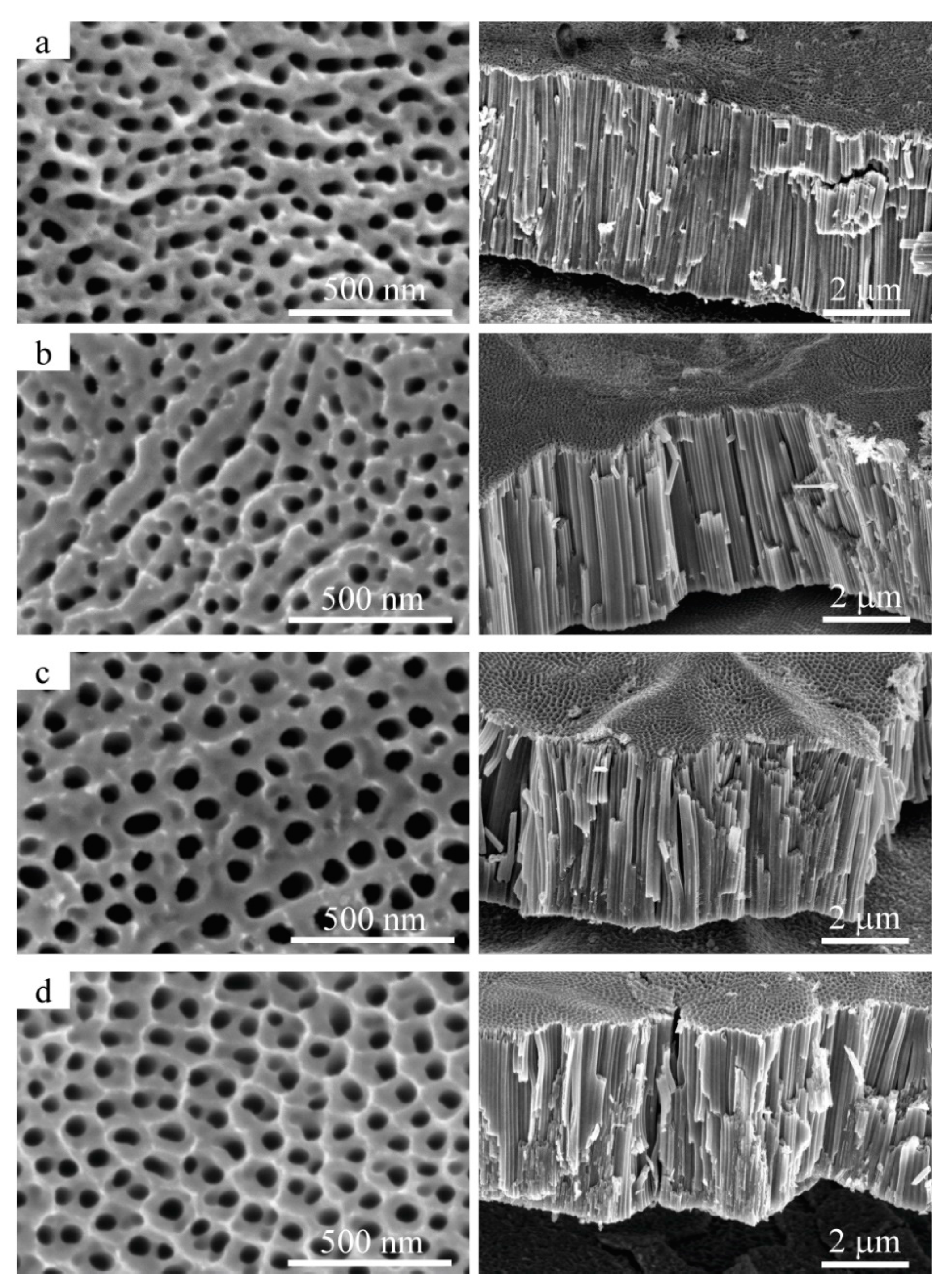 Symmetry 14 02678 g002