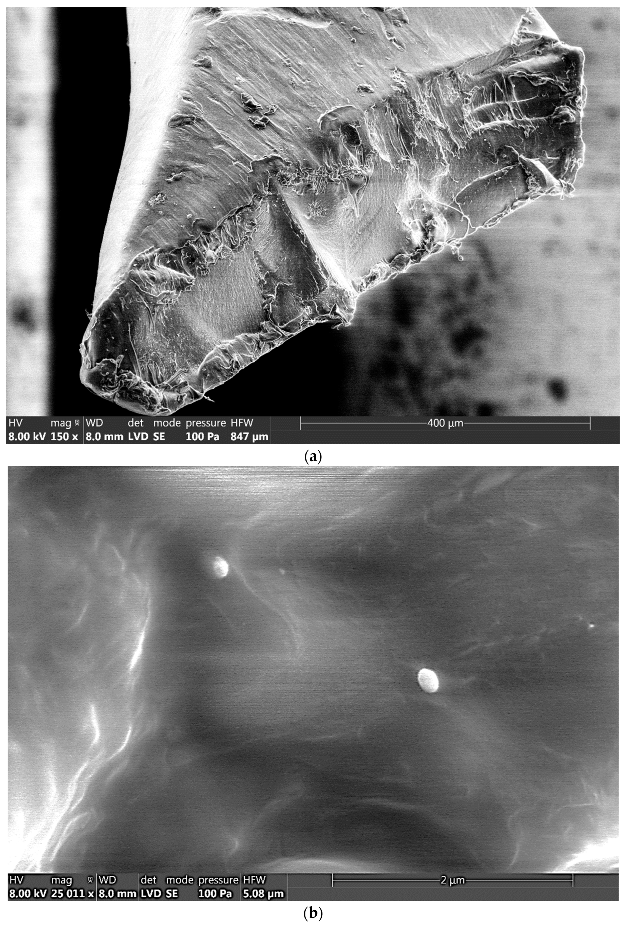 Symmetry 15 00028 g002