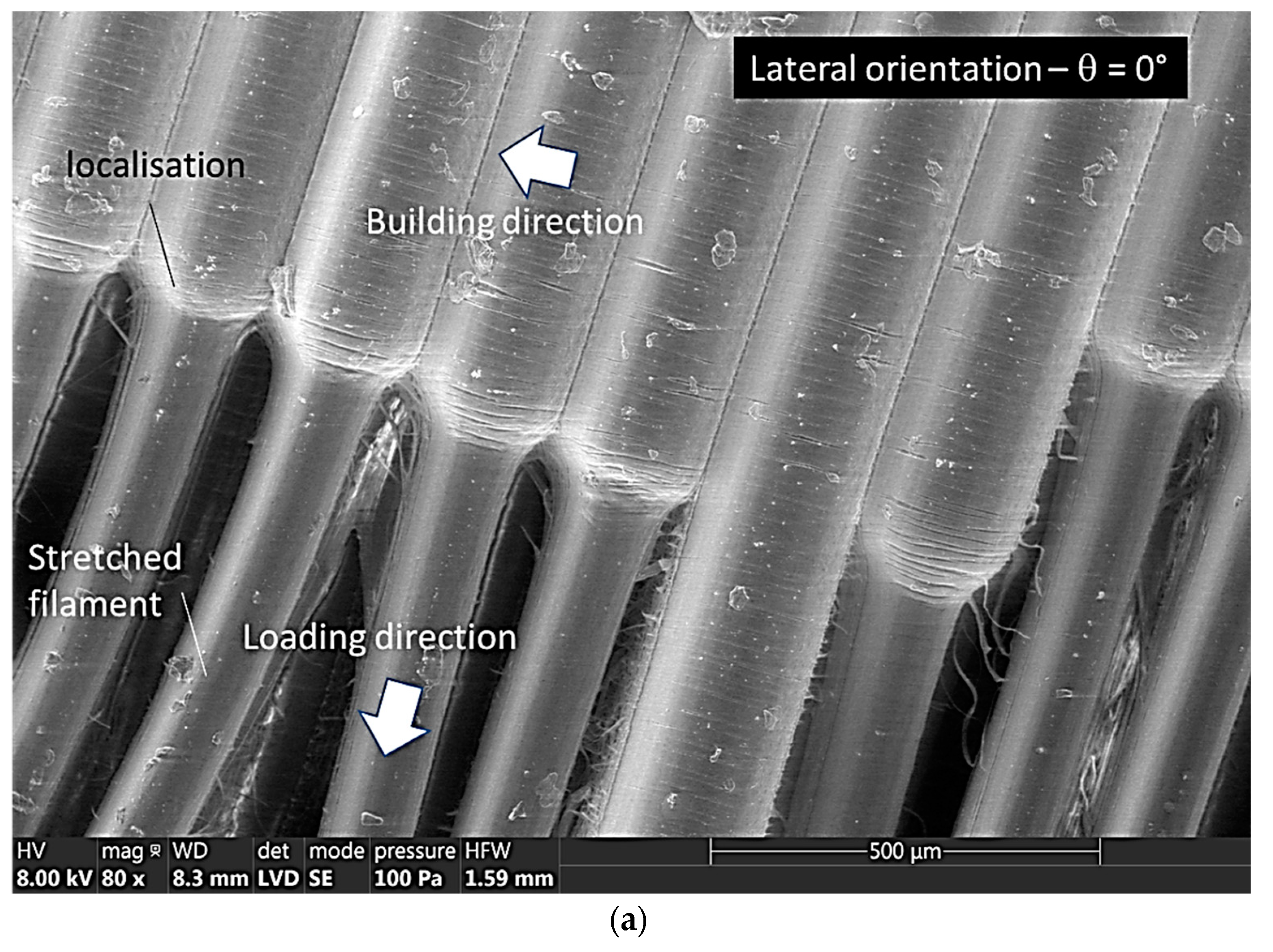 Symmetry 15 00028 g006a