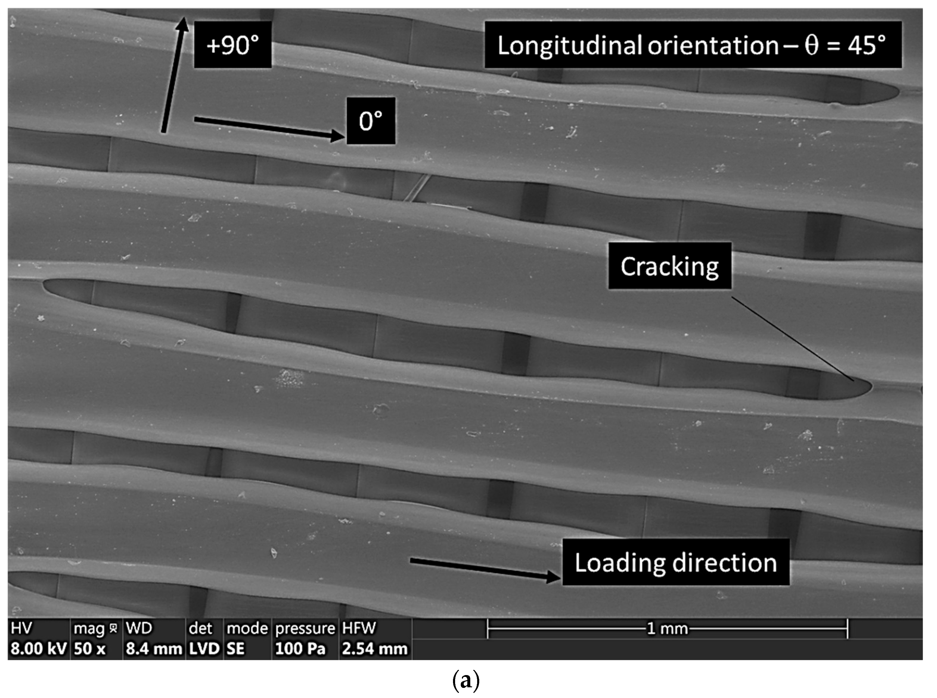 Symmetry 15 00028 g008a