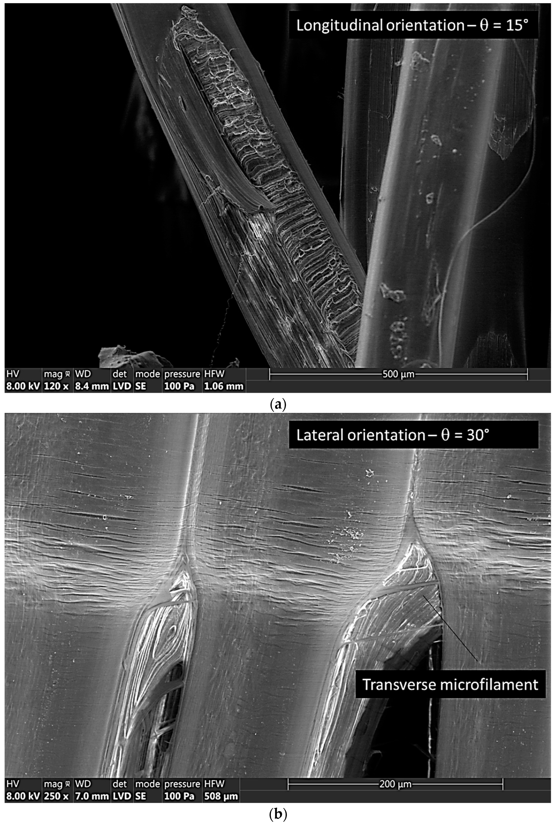 Symmetry 15 00028 g009a
