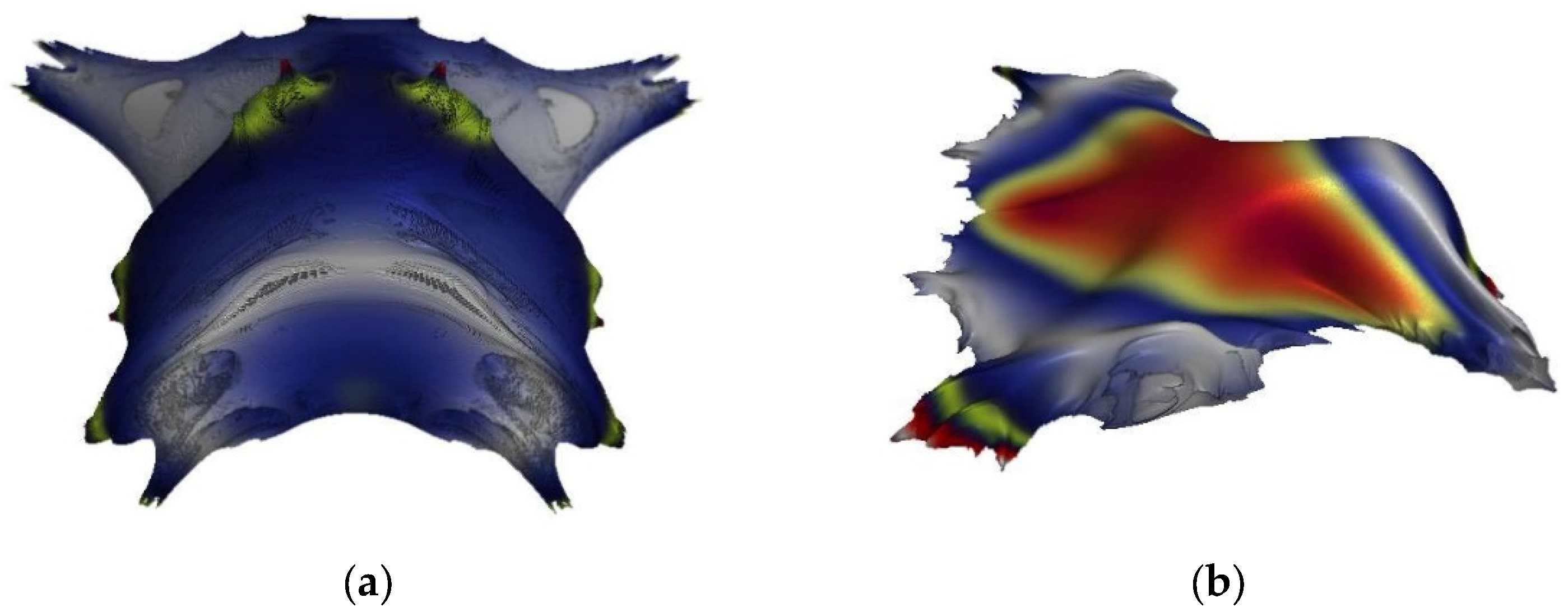Symmetry 15 00043 g006