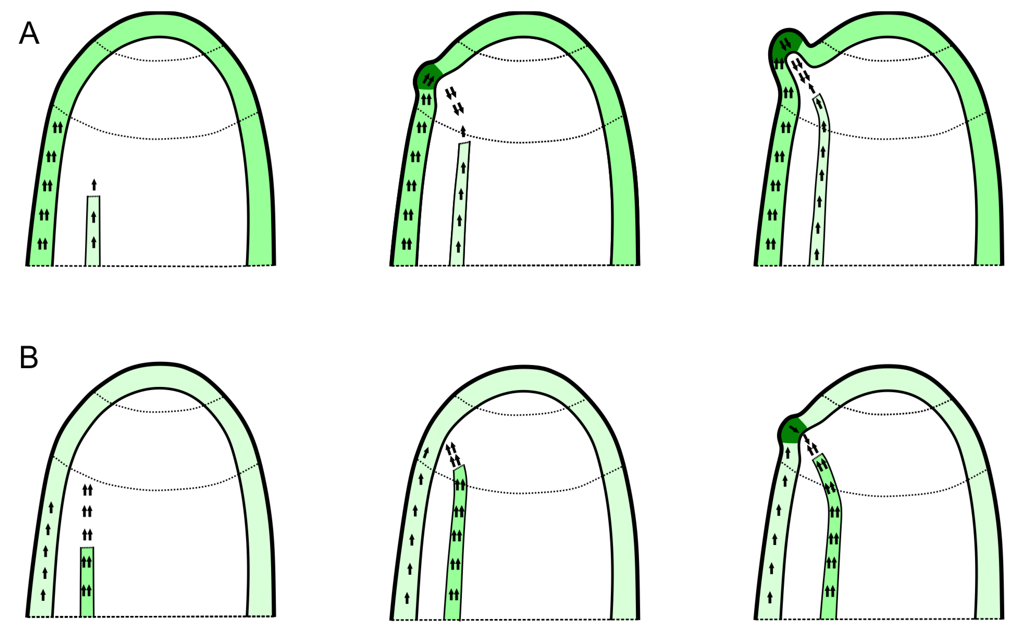 Symmetry 15 00364 g002 Symmetry 15 00364 g002