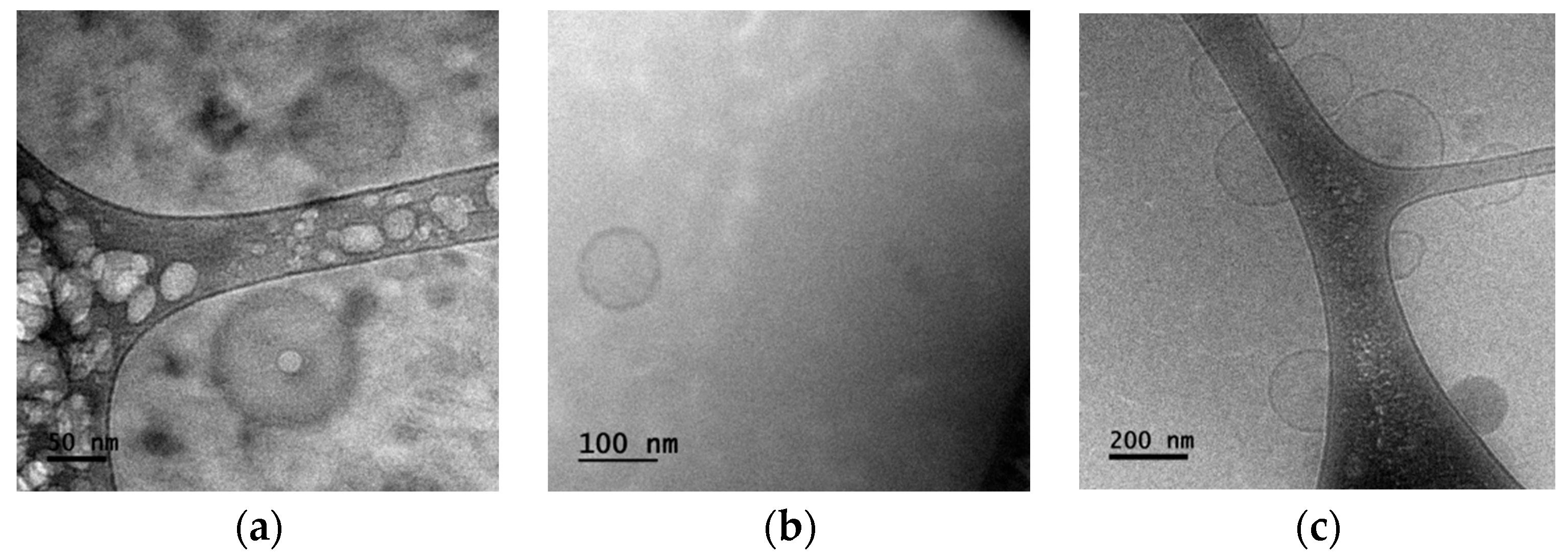 Symmetry 15 00775 g002