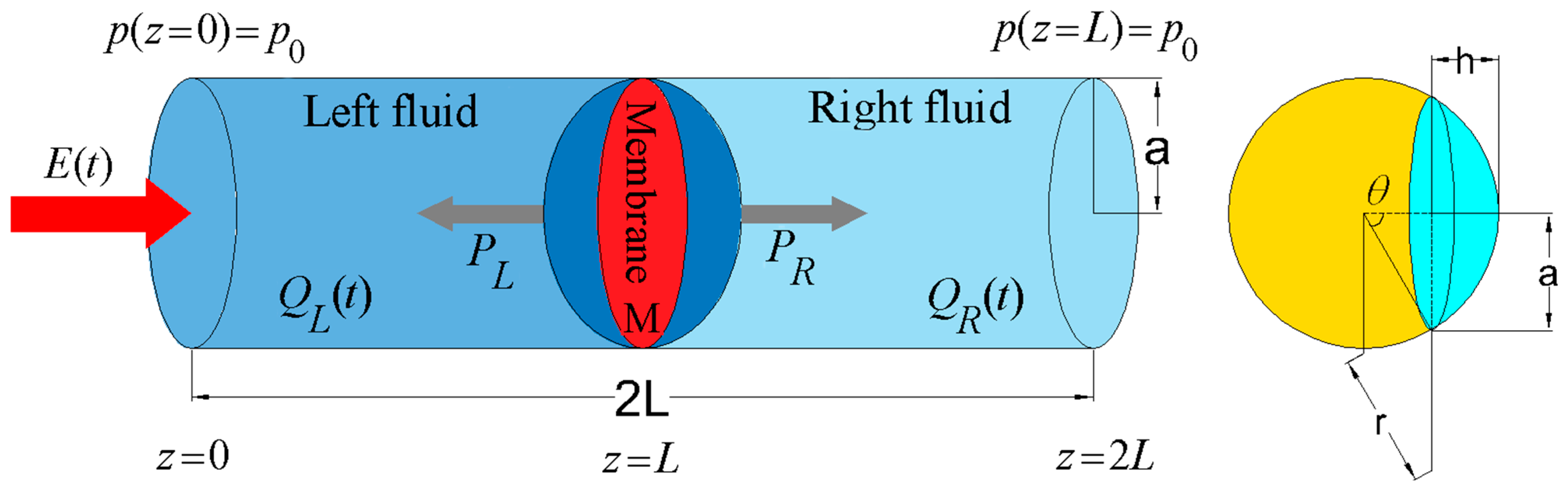 Symmetry 15 01004 g005