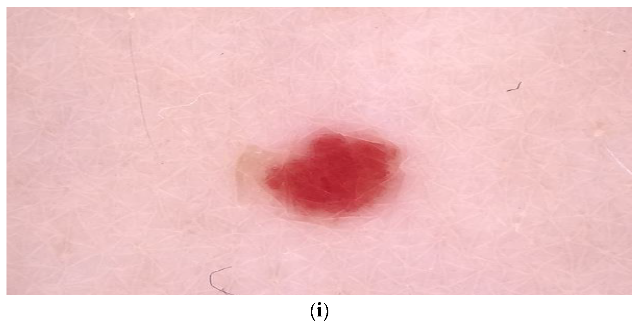 Symmetry 15 01369 g003b Symmetry 15 01369 g003b