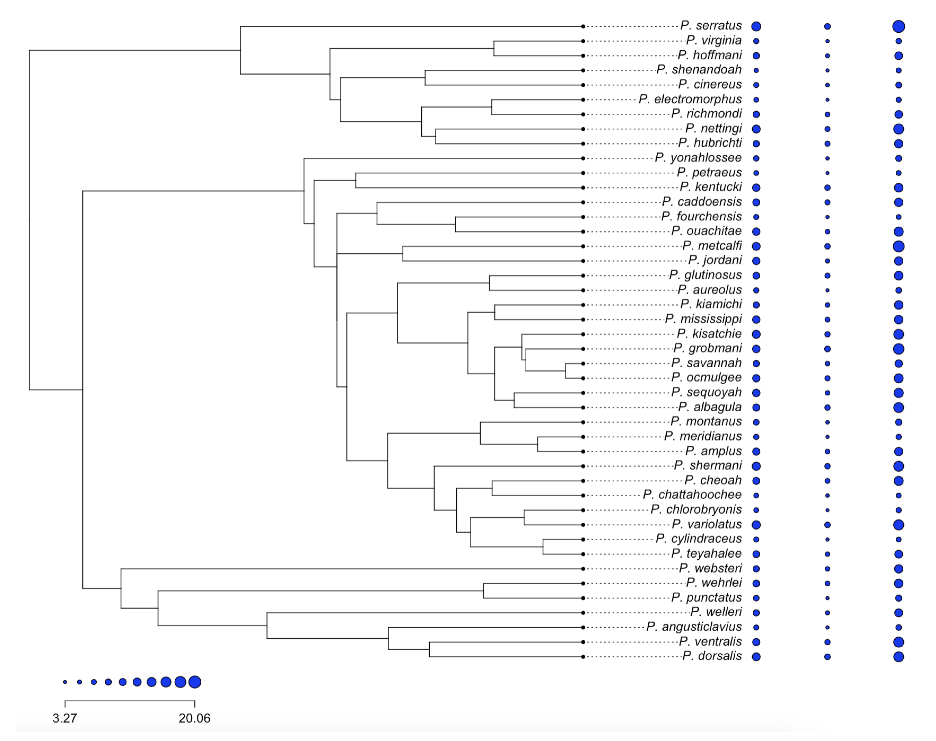 Symmetry 15 01445 g004