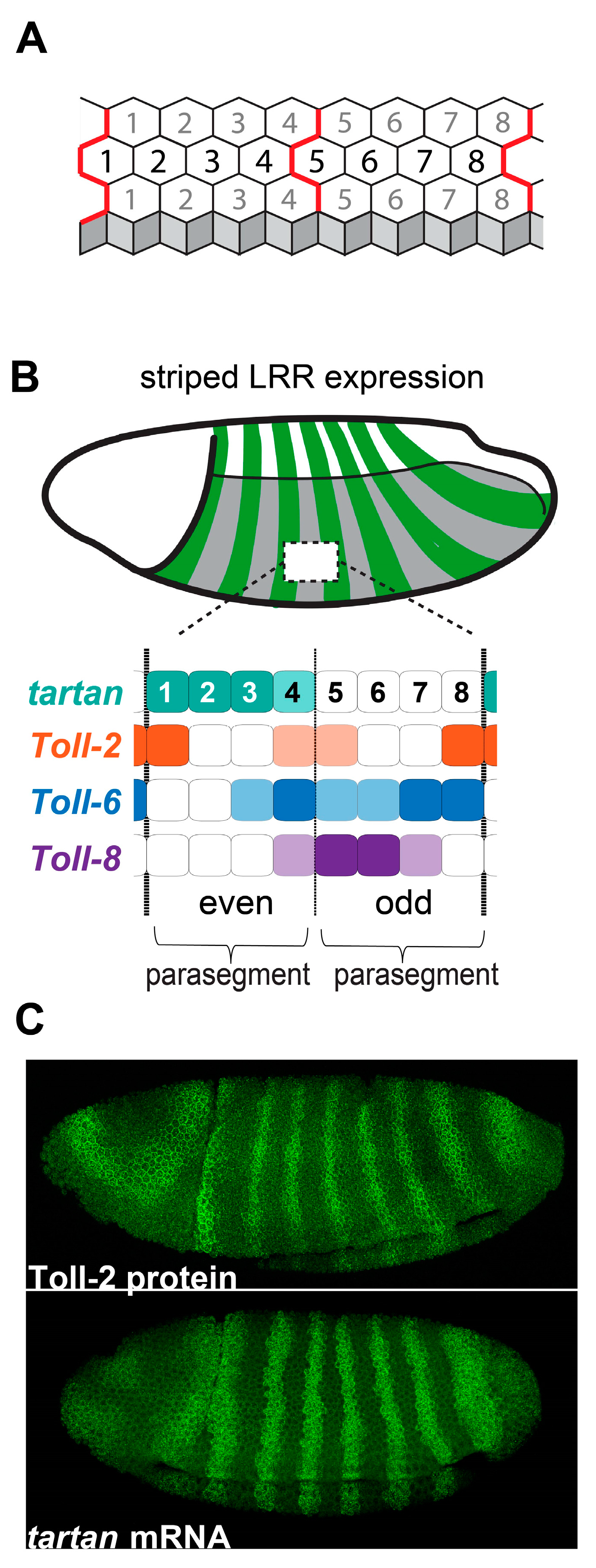 Symmetry 15 01490 g002 Symmetry 15 01490 g002