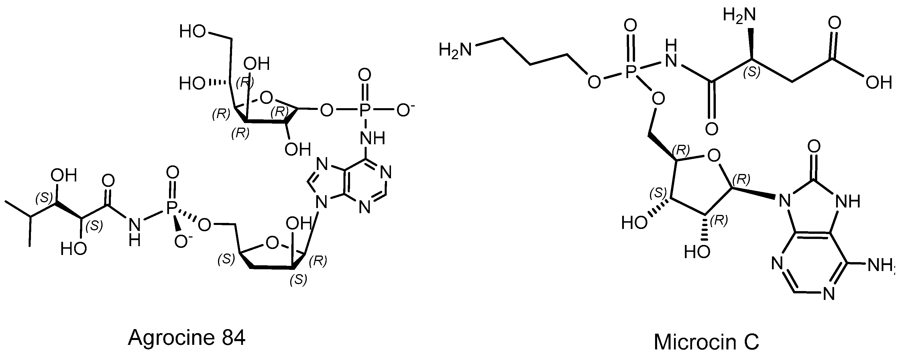 Symmetry 15 01550 g005 Symmetry 15 01550 g005