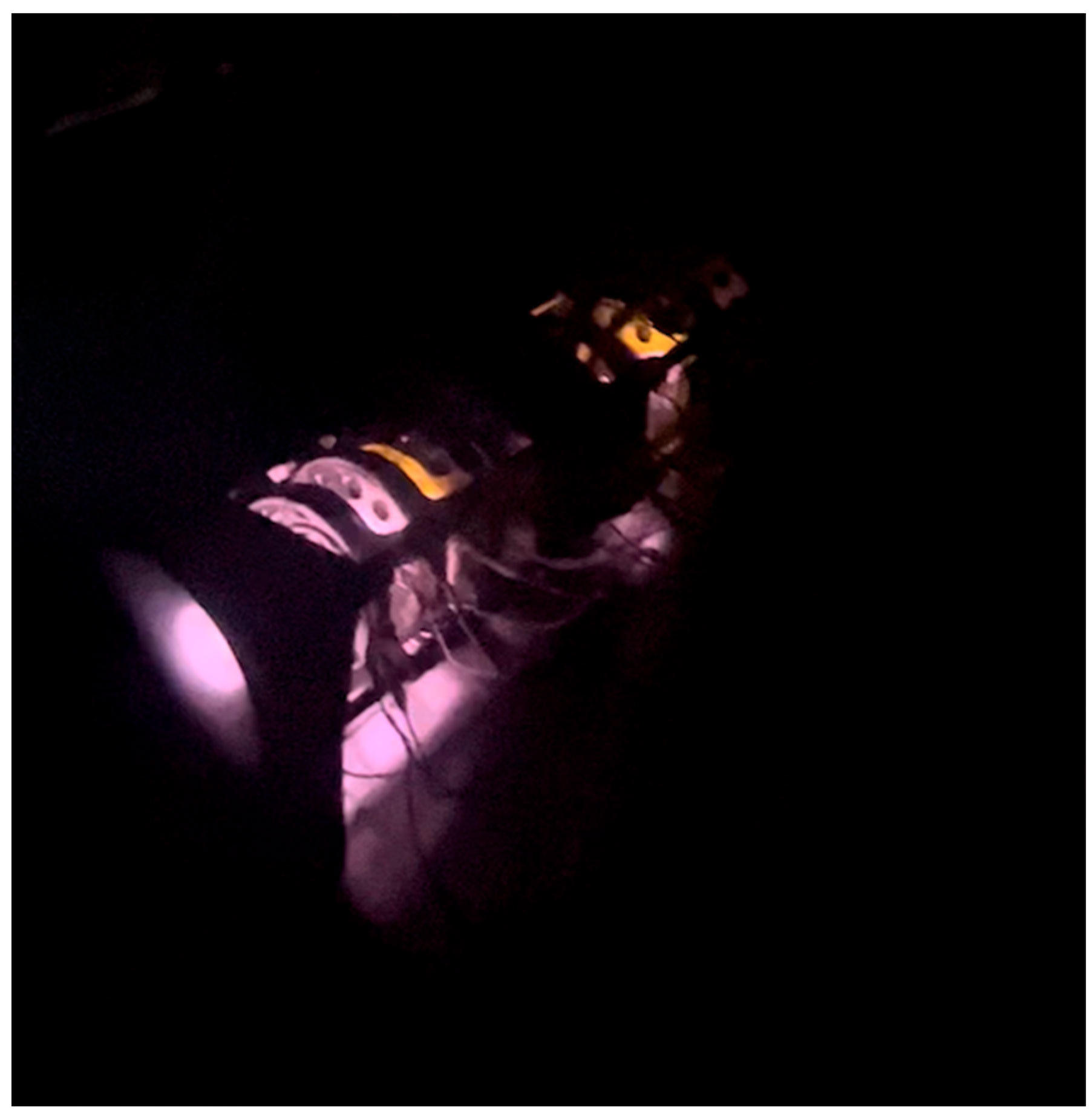 Symmetry 15 01705 g009