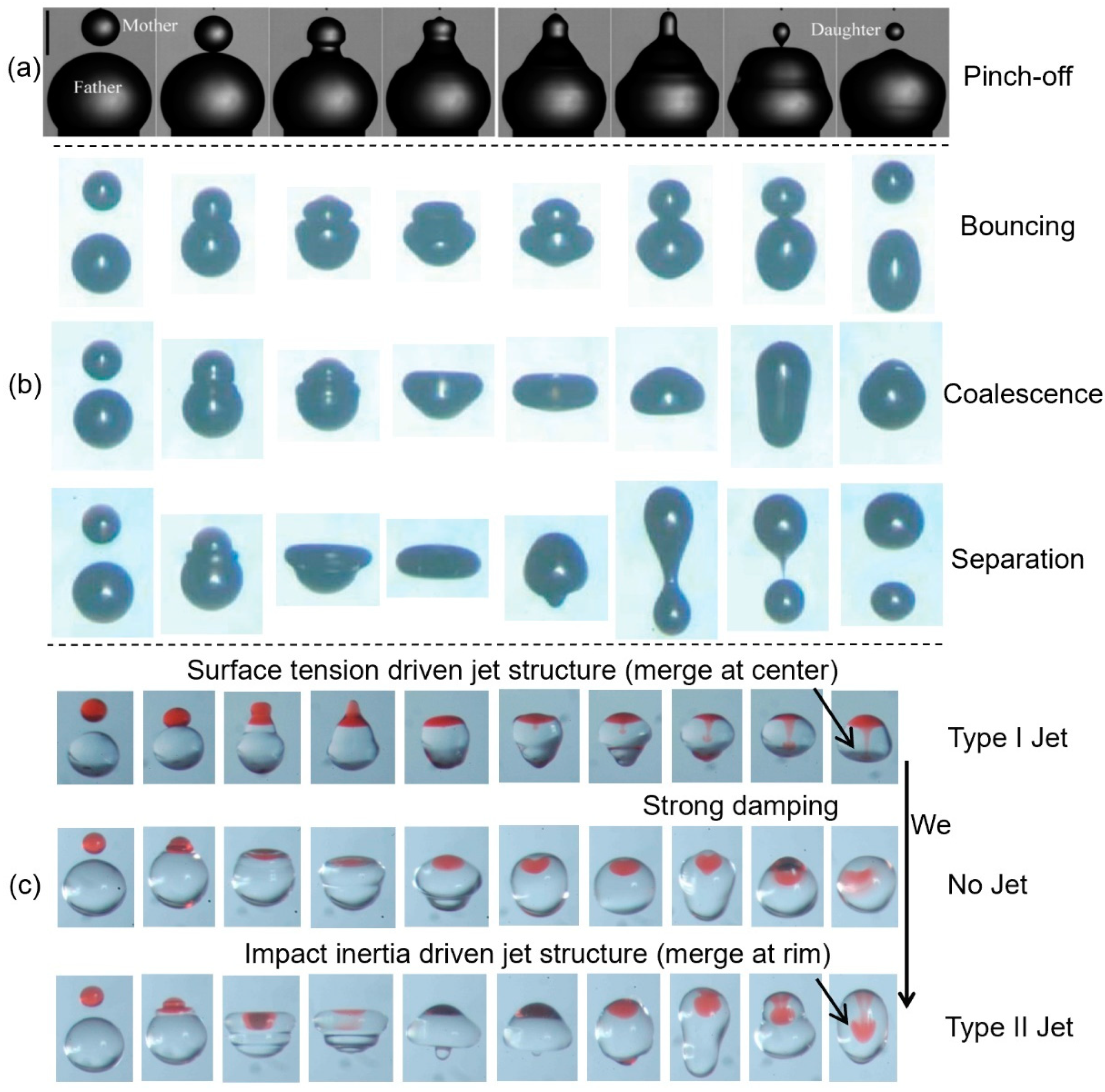 Symmetry 16 00047 g004