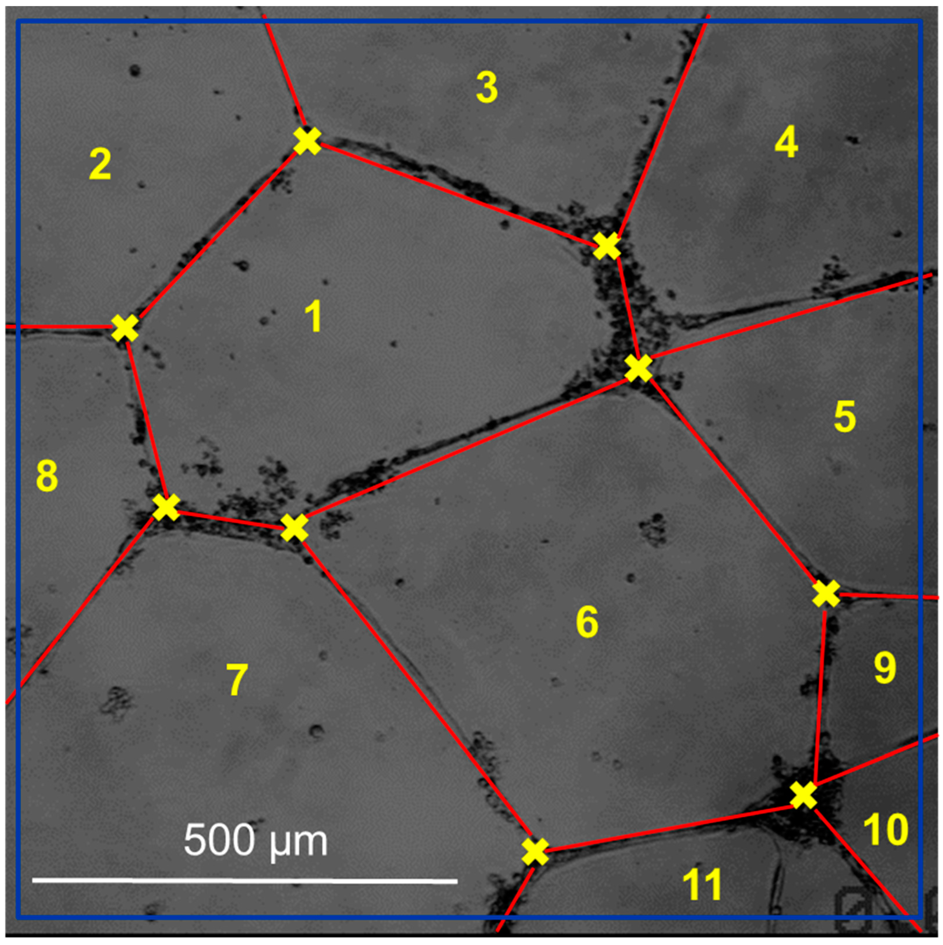 Symmetry 16 00055 g003