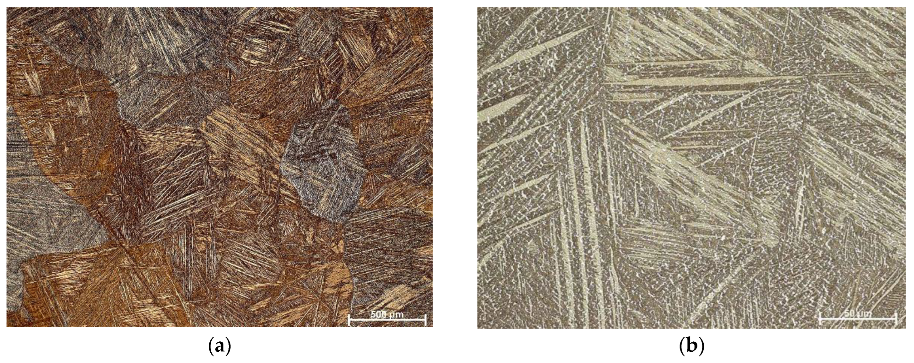 Symmetry 16 00545 g002