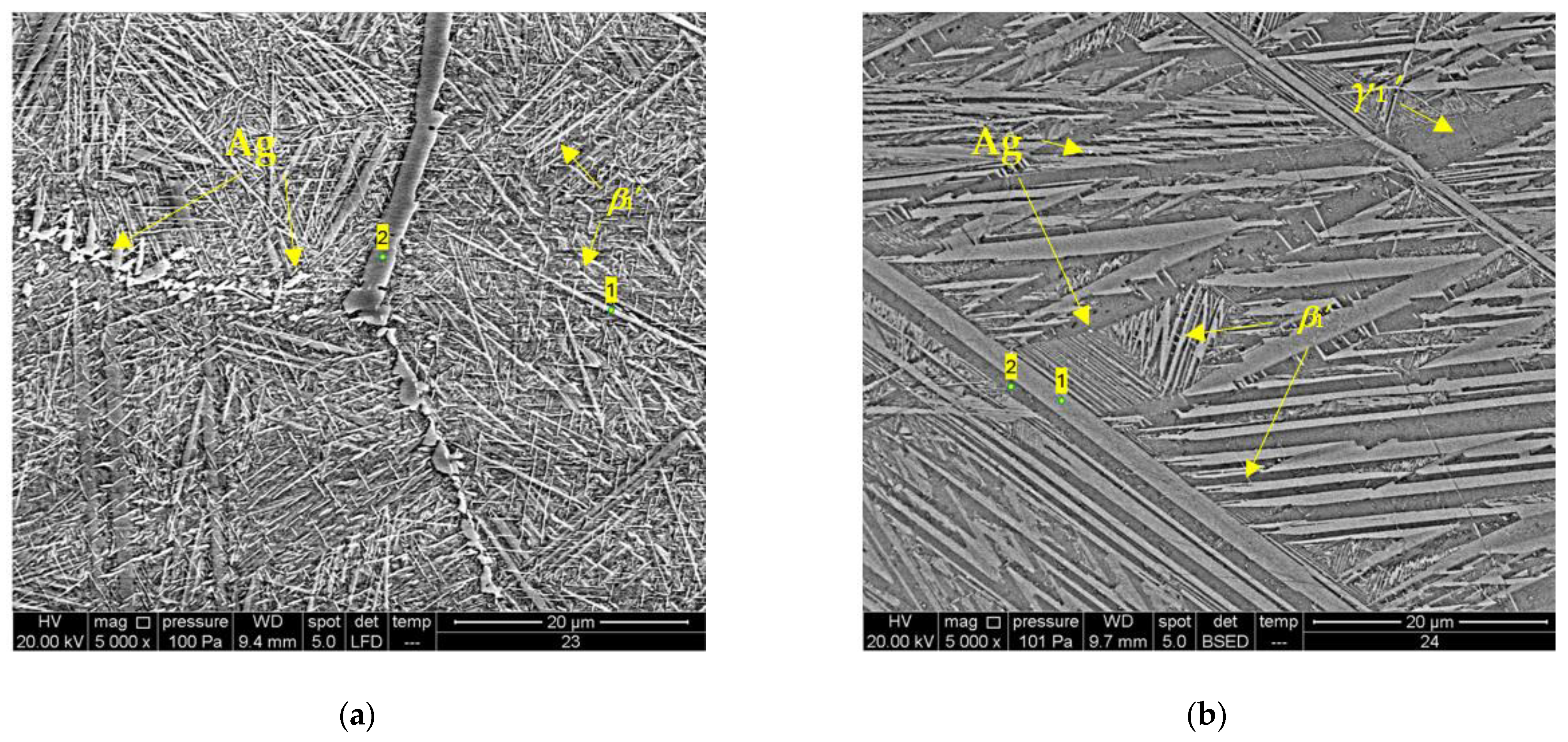 Symmetry 16 00545 g003