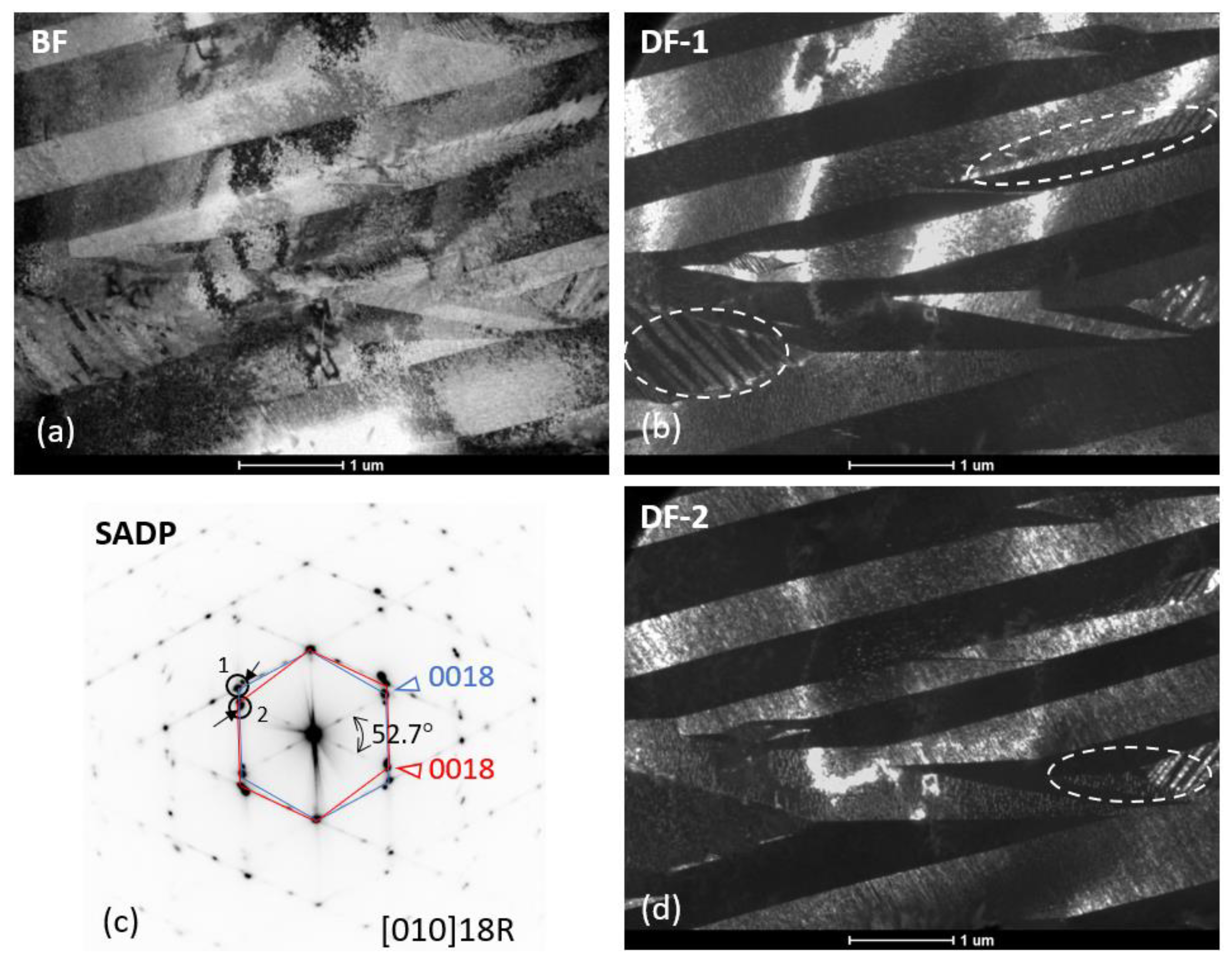 Symmetry 16 00545 g016